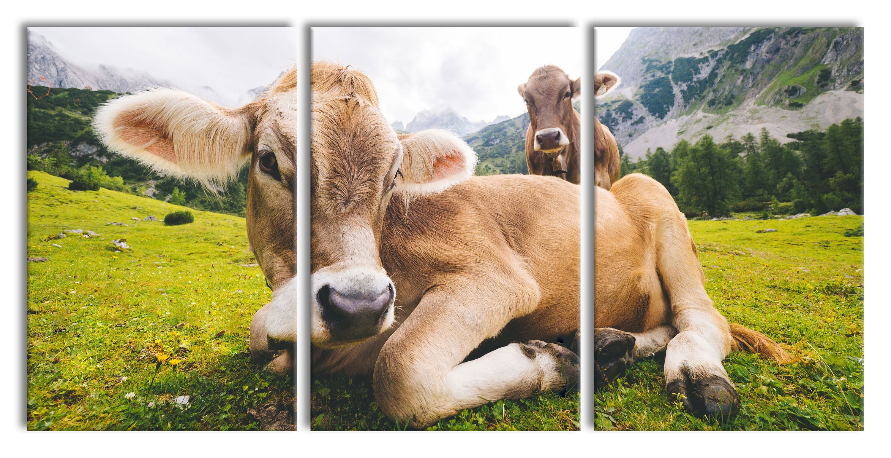 Pixxprint Leinwandbild Alpen Wiese Kuh Nutztier Stall Milch, Alpen Wiese Kuh Nutztier Stall Milch (3 St), Leinwandbild fertig bespannt, inkl. Zackenaufhänger