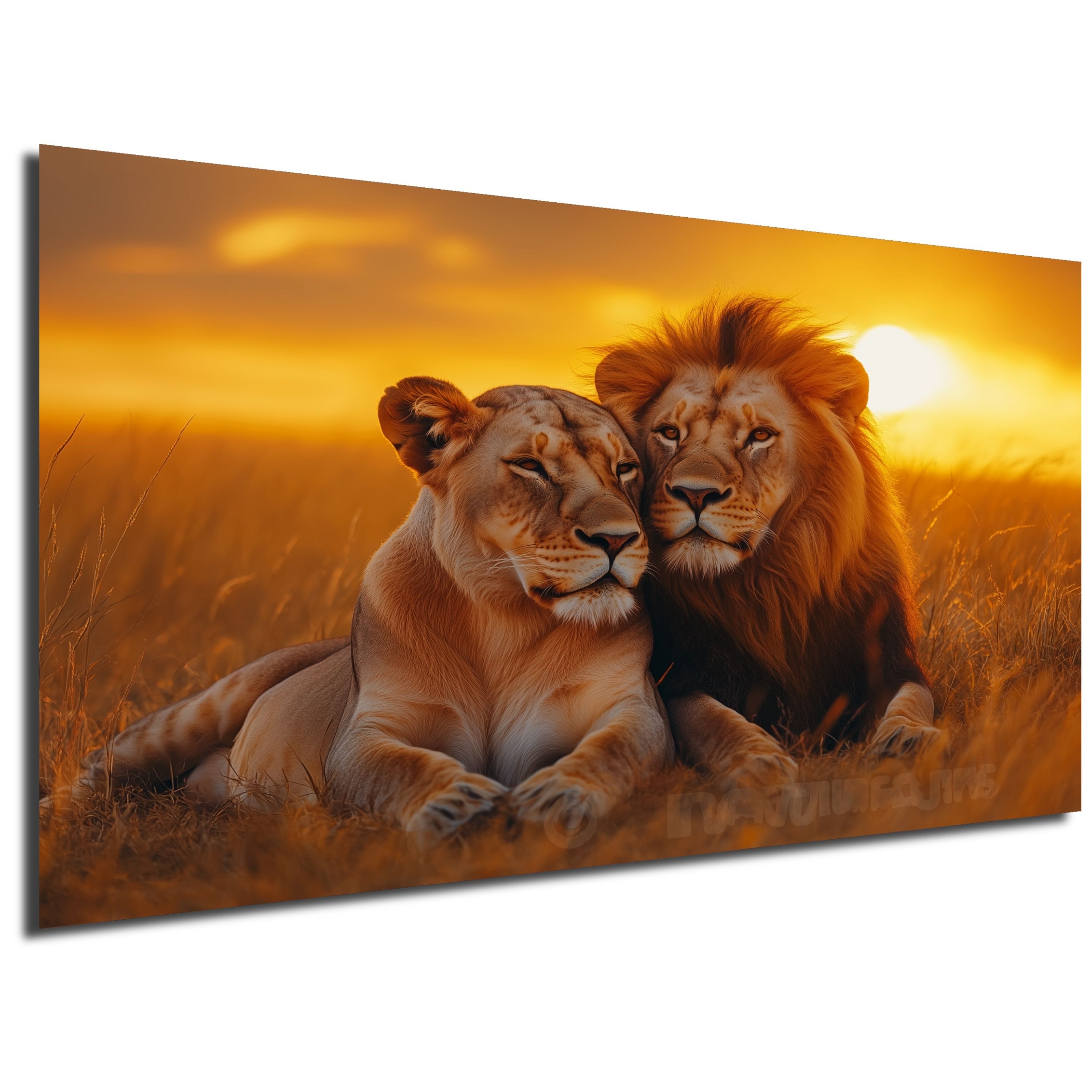 DARO Design Leinwandbild Modern Abstrakt Wandbilder XXL Wandbild Wand Deko günstig online kaufen