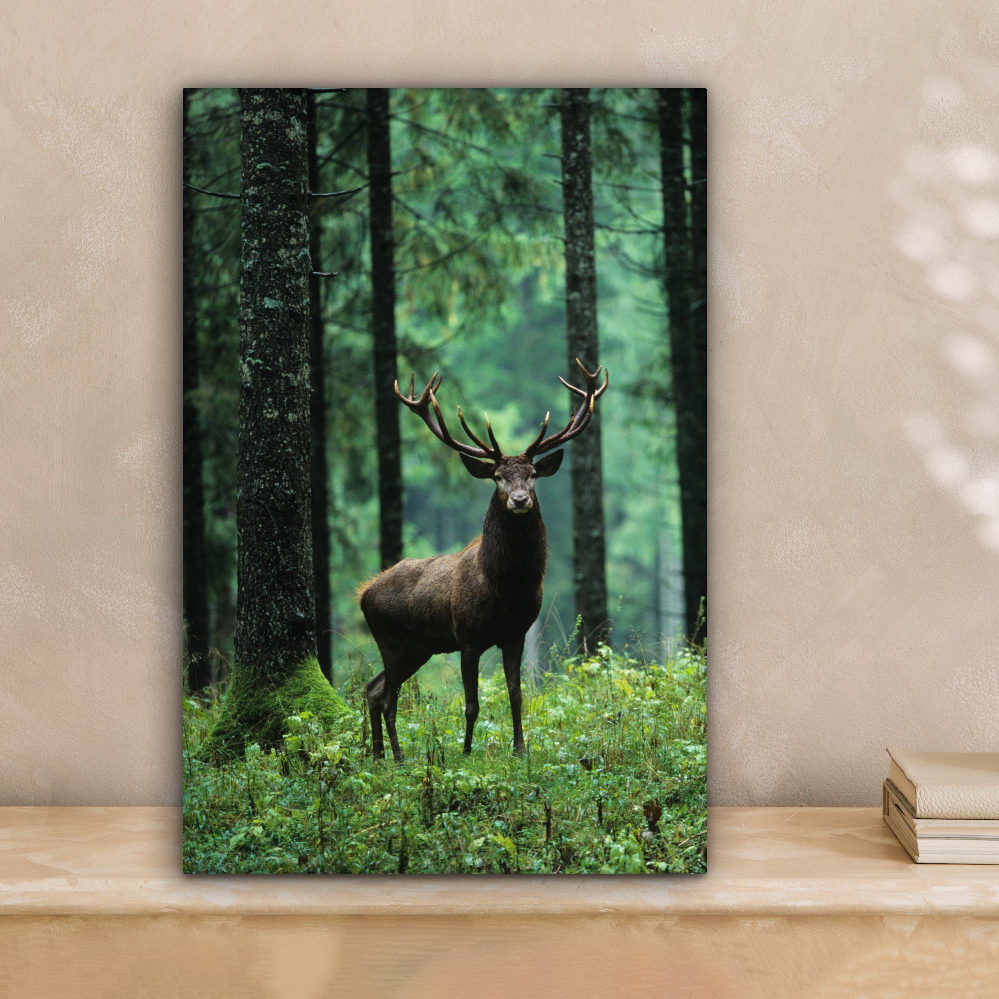 OneMillionCanvasses® Leinwandbild Hirsche - Wald - Bäume - Tiere - Natur, F günstig online kaufen