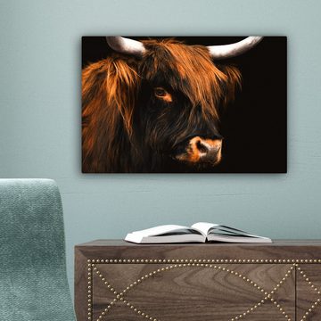 OneMillionCanvasses® Leinwandbild Schottischer Highlander - Schwarz - Kuh - Horn - Tiere, (1 St), Wandbild Leinwandbilder, Aufhängefertig, Wanddeko, 30x20 cm