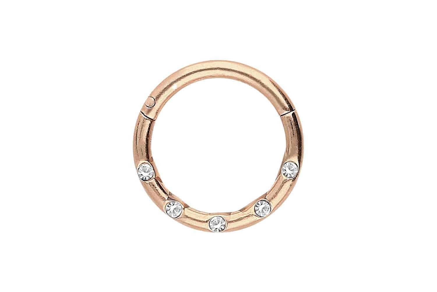 Nasenpiercing Chirurgenstahl Segmentring Clicker 5 KRISTALLE Ohrpiercing Septum Nase