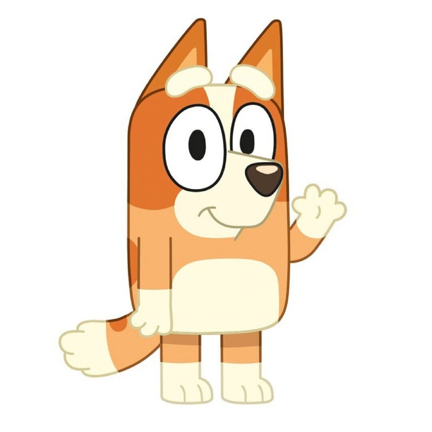 Bluey Dekokissen Kissen Velours Kissen Ideal als Dekokissen