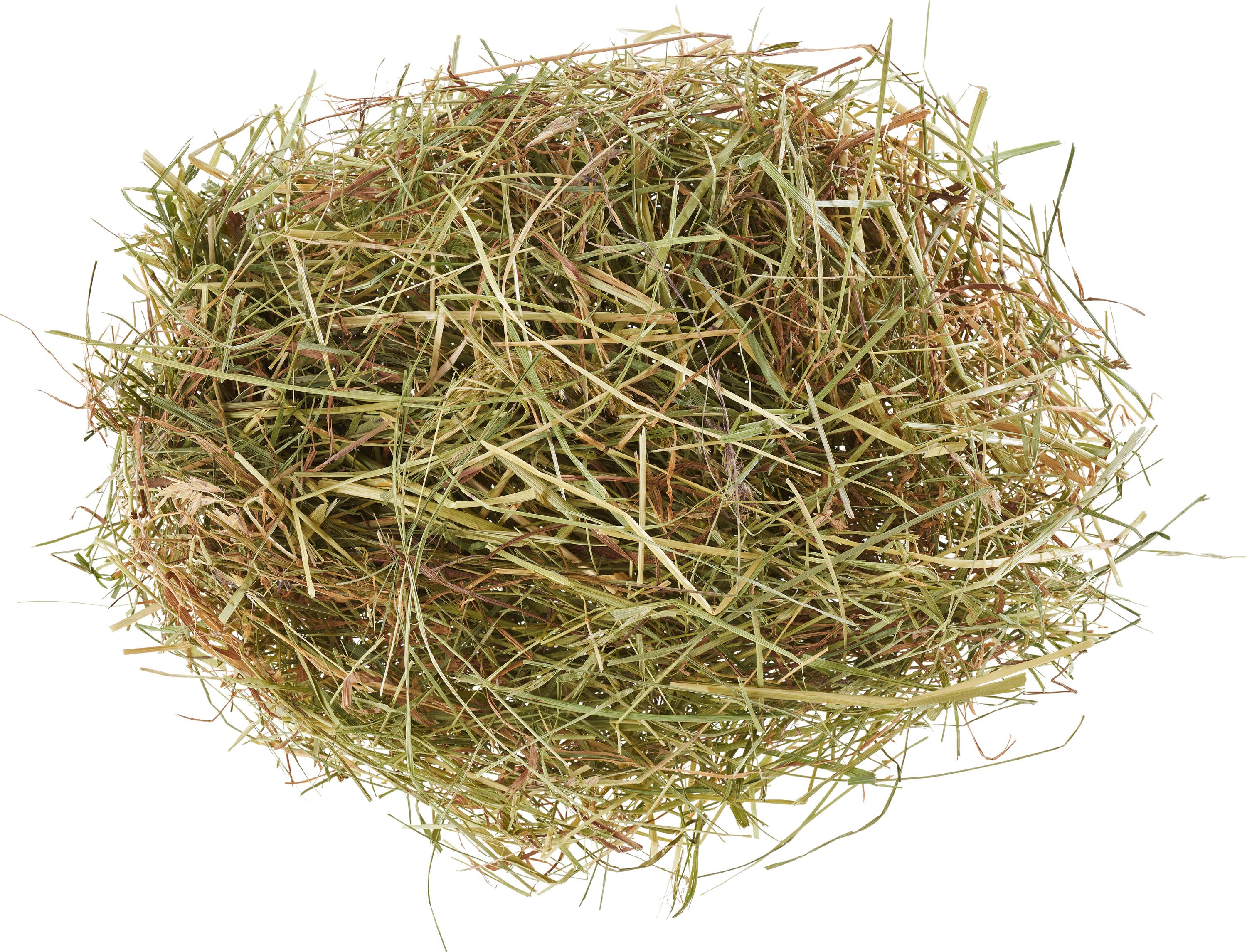 Osternest Deko Bio-Heu, natur, 40g