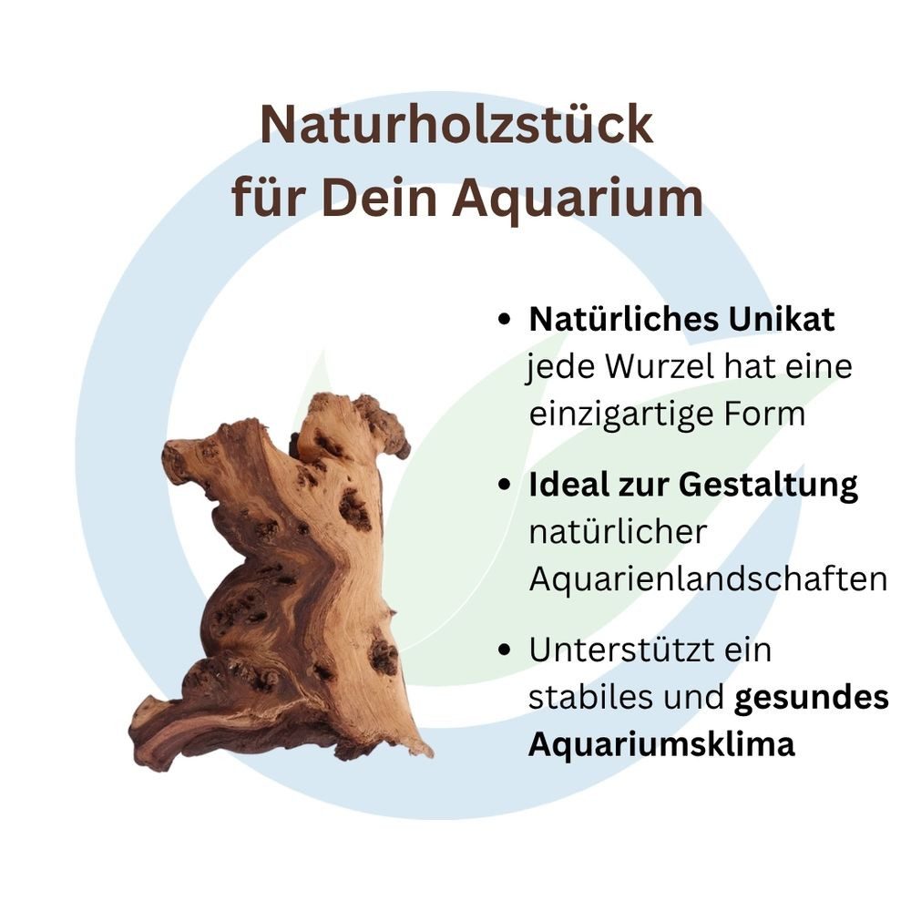 Aquaone Aquarium Mopani Wurzel M 15-25 cm
