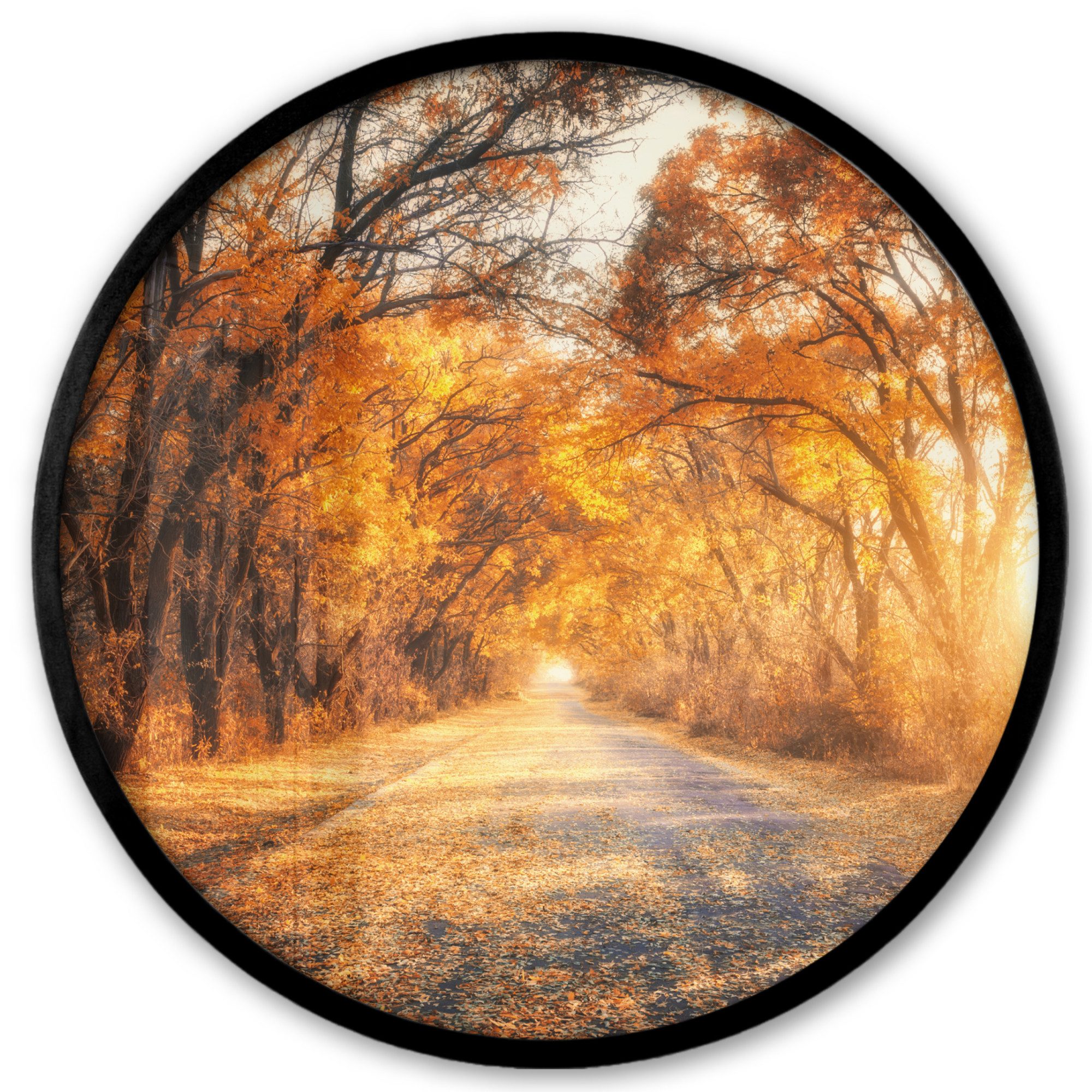 MuchoWow Poster Rund - Wald - Herbst - Bäume - Waldweg - Natur, (1 St), Runde Wandbilder, Deko für Wohnzimmer und Schlafzimmer, 40x40 cm