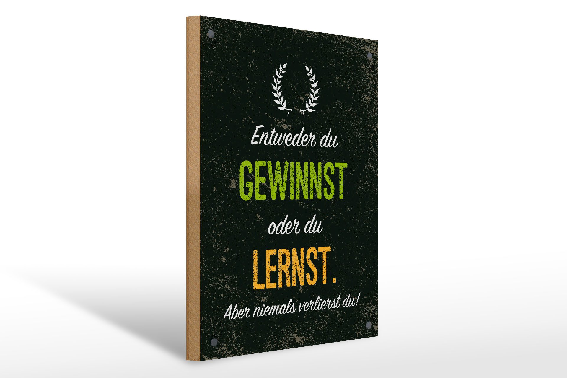 Holzbild Spruch Entweder du gewinnst oder lernst 30x40cm