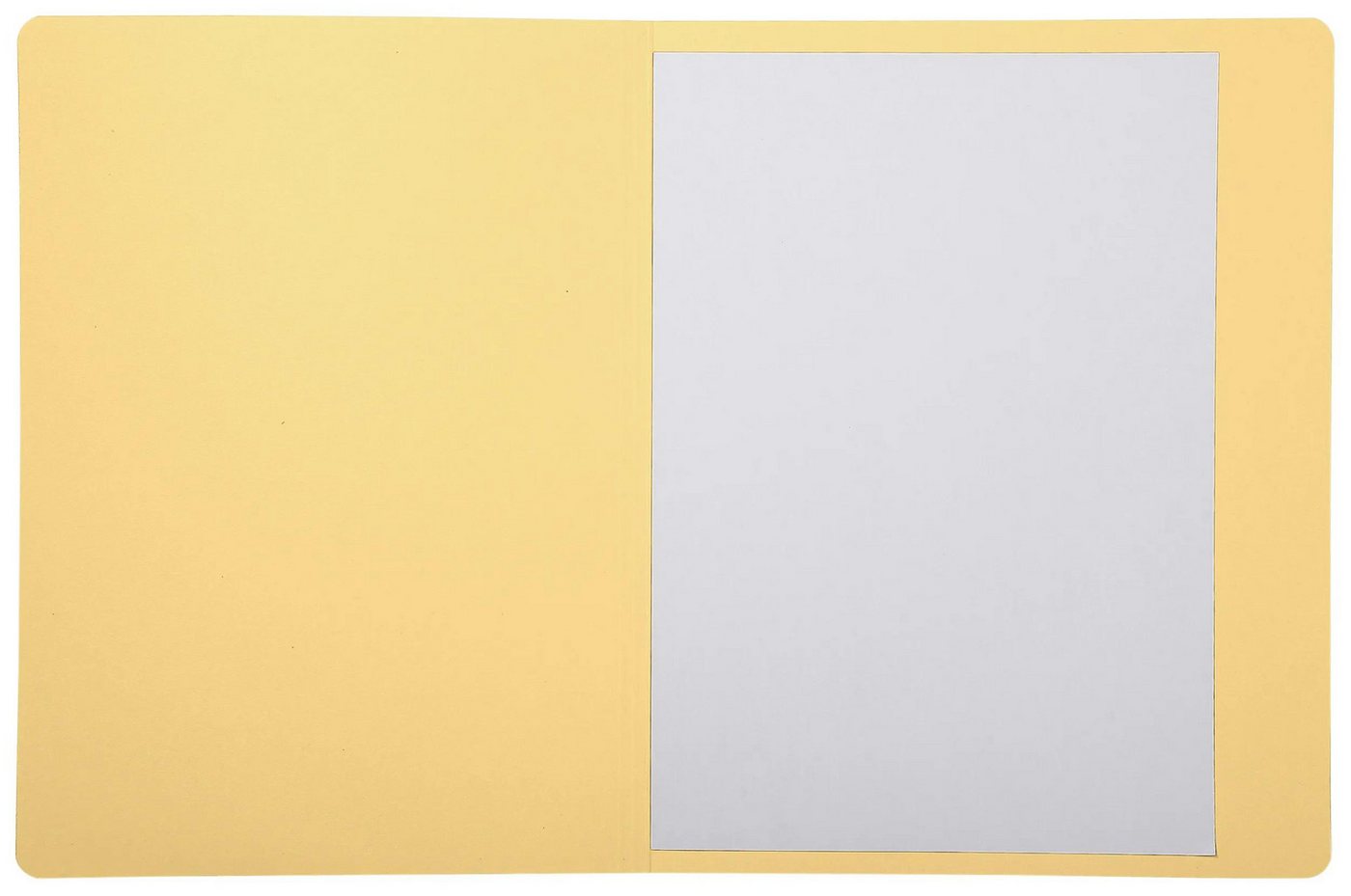 Thumbnail - EXACOMPTA Organisationsmappe 100x 100er Aktendeckel RC Karton 280g Forever, A4 Sand 441002E, Aktendeckel