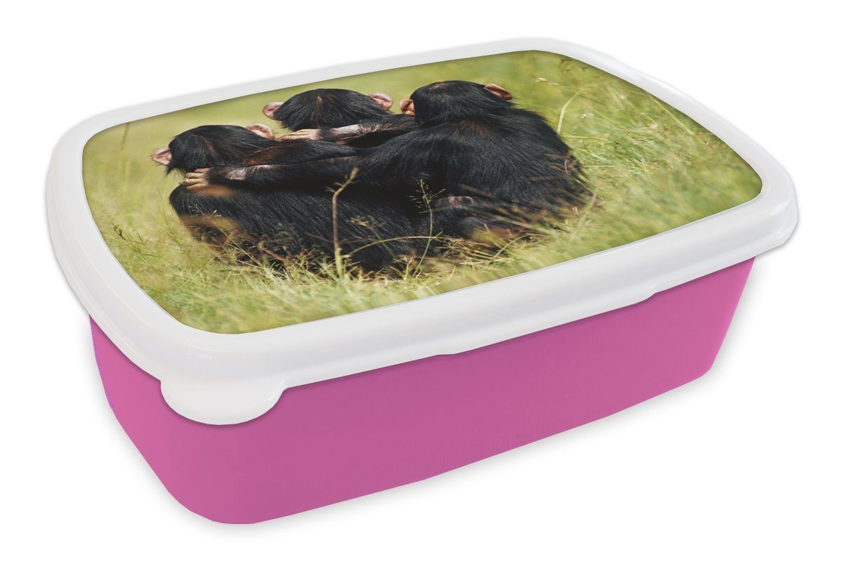 MuchoWow Lunchbox Affe - Gras - Tiere, Kunststoff, (2-tlg), Brotbox für Erwachsene, Brotdose Kinder, Snackbox, Mädchen, Kunststoff rosa