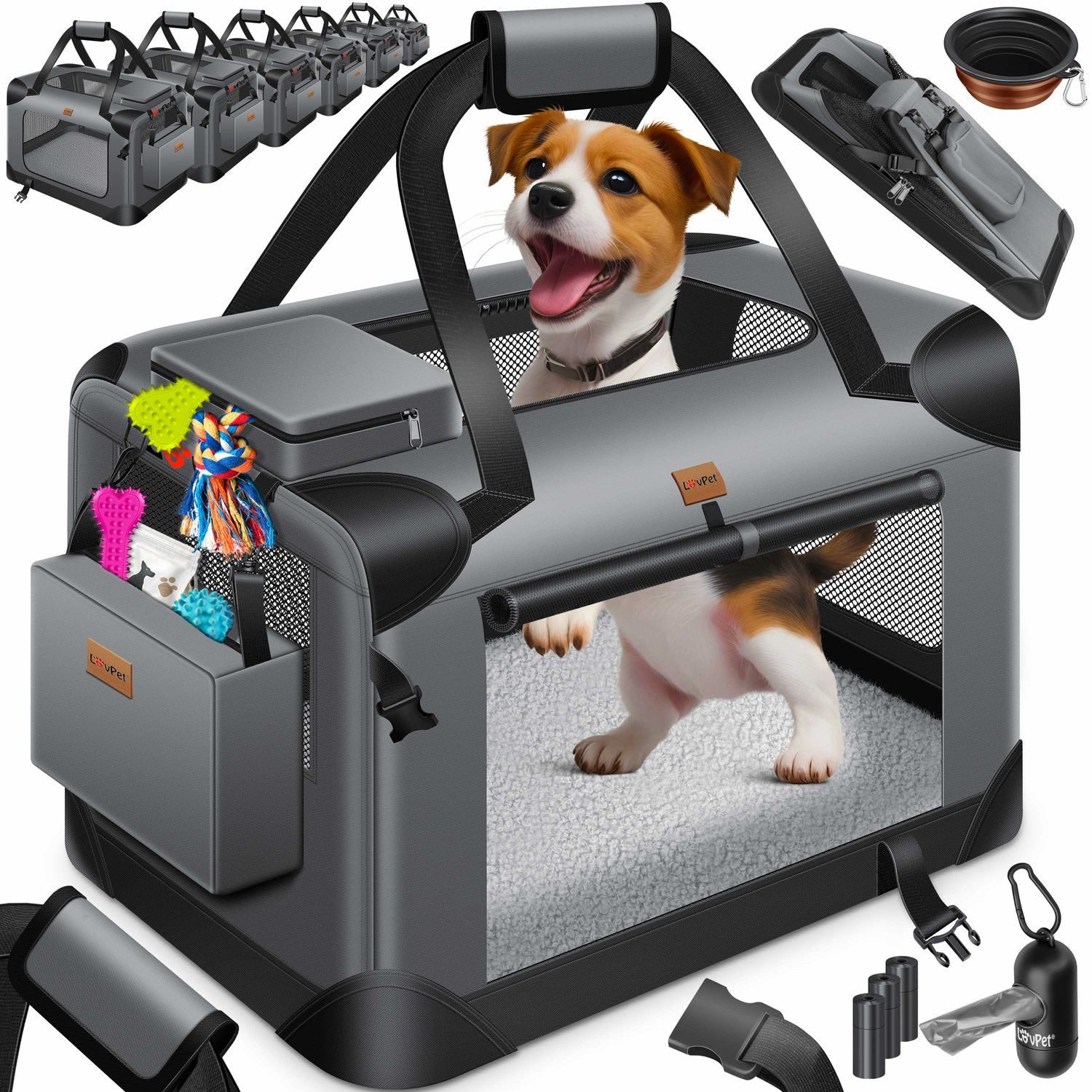 Tiertransportbox