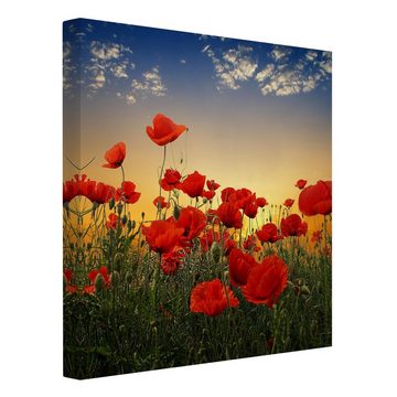 Bilderdepot24 Leinwandbild Blumen Modern Mohnblumenfeld Sonnenuntergang rot Bild auf Leinwand XXL, Bild auf Leinwand; Leinwanddruck in vielen Größen