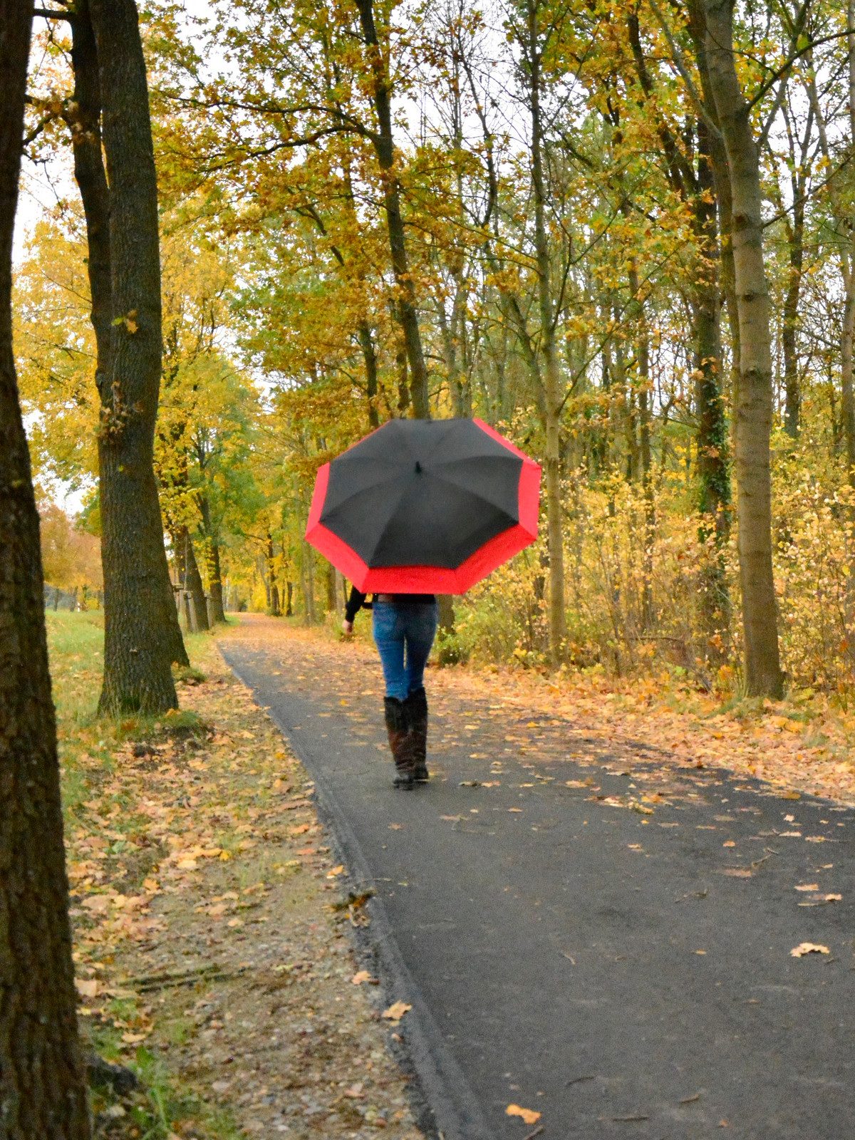 iX-brella Stockregenschirm Move to XXL - expandierender Schirm mit Automati günstig online kaufen