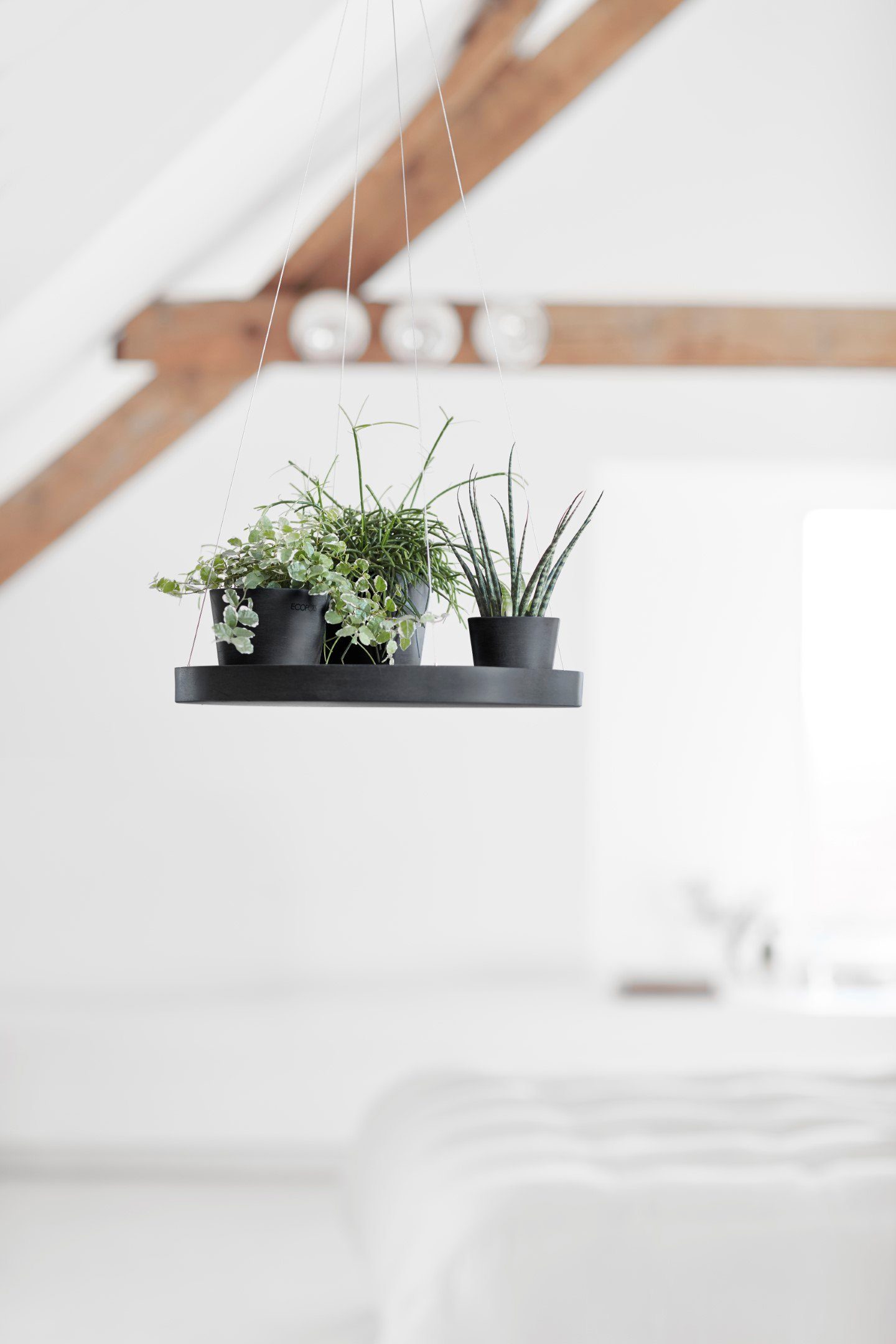 HANGING ECOPOTS cm SAUCER Grey, 36x36x3 BxTxH: Blumentopfuntersetzer Dark