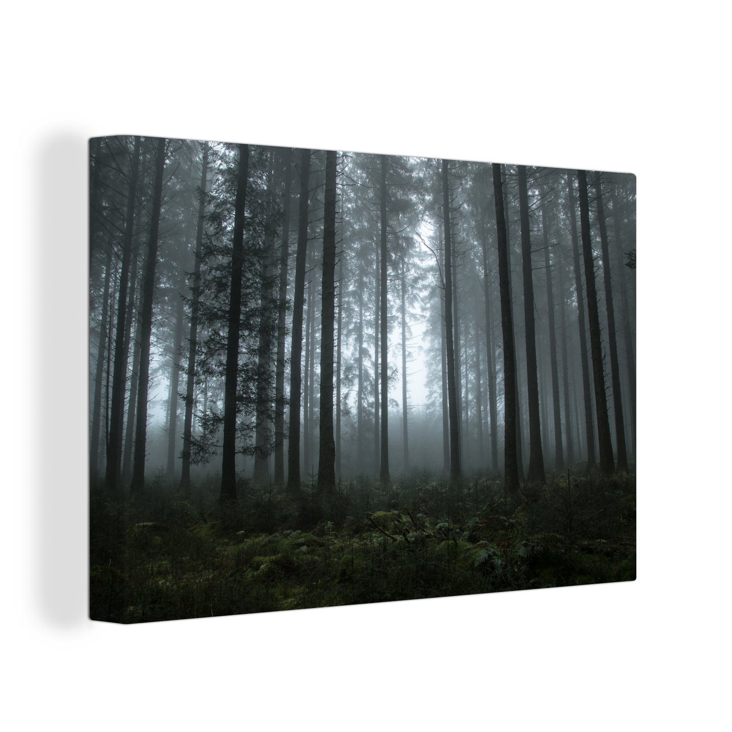 OneMillionCanvasses® Leinwandbild Wald - Licht - günstig online kaufen