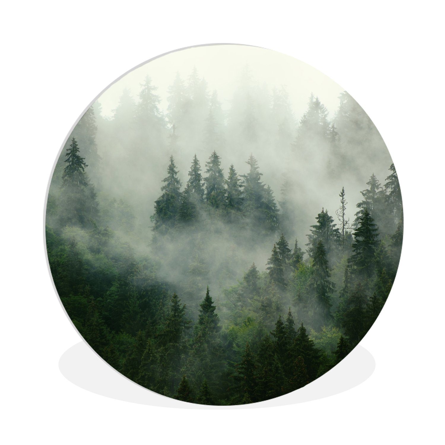 MuchoWow Gemälde Wald - Nebel - Bäume - Natur, Fotodruck (1 St), Kreis Wanddekoration, Rundes Wandbild, 30x30 cm