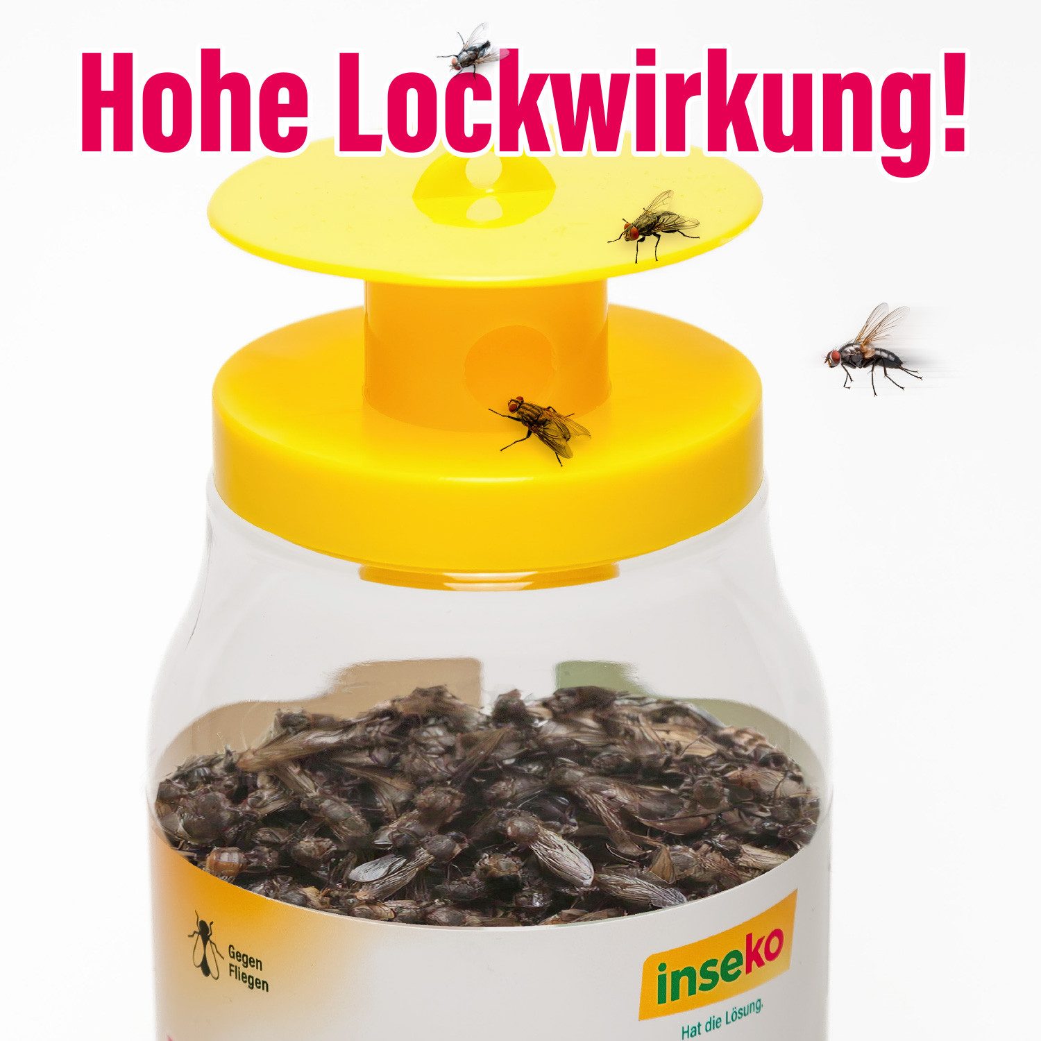 Inseko Insektenfalle 1x inseko Massen-Fliegenfalle I Biologische Fliegenfalle mit Lockstoff, für alle Außenbereiche