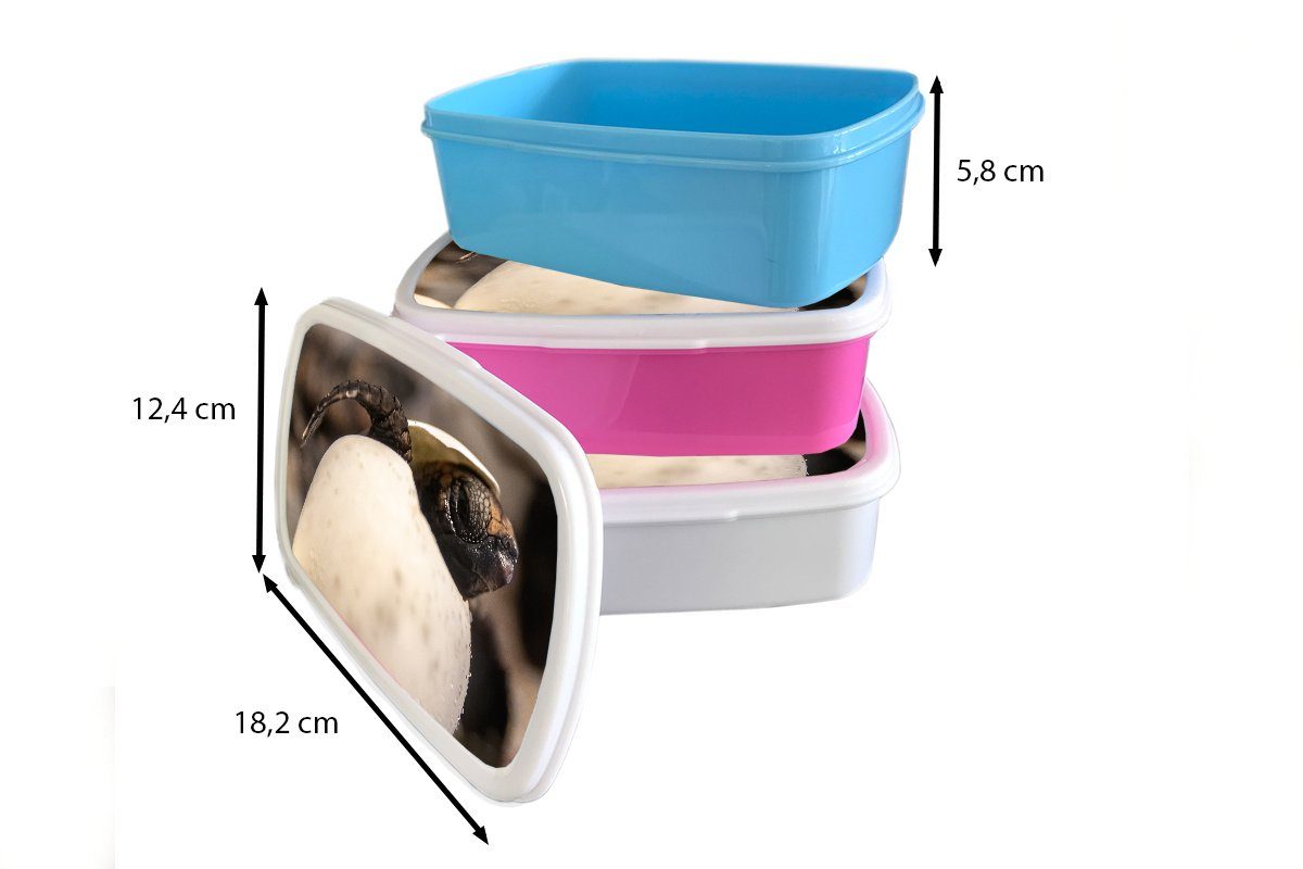 MuchoWow - Kunststoff, und und für Schildkröte Kinder Jungs Brotbox Ei, Mädchen - Baby Brotdose, für weiß Erwachsene, (2-tlg), Lunchbox