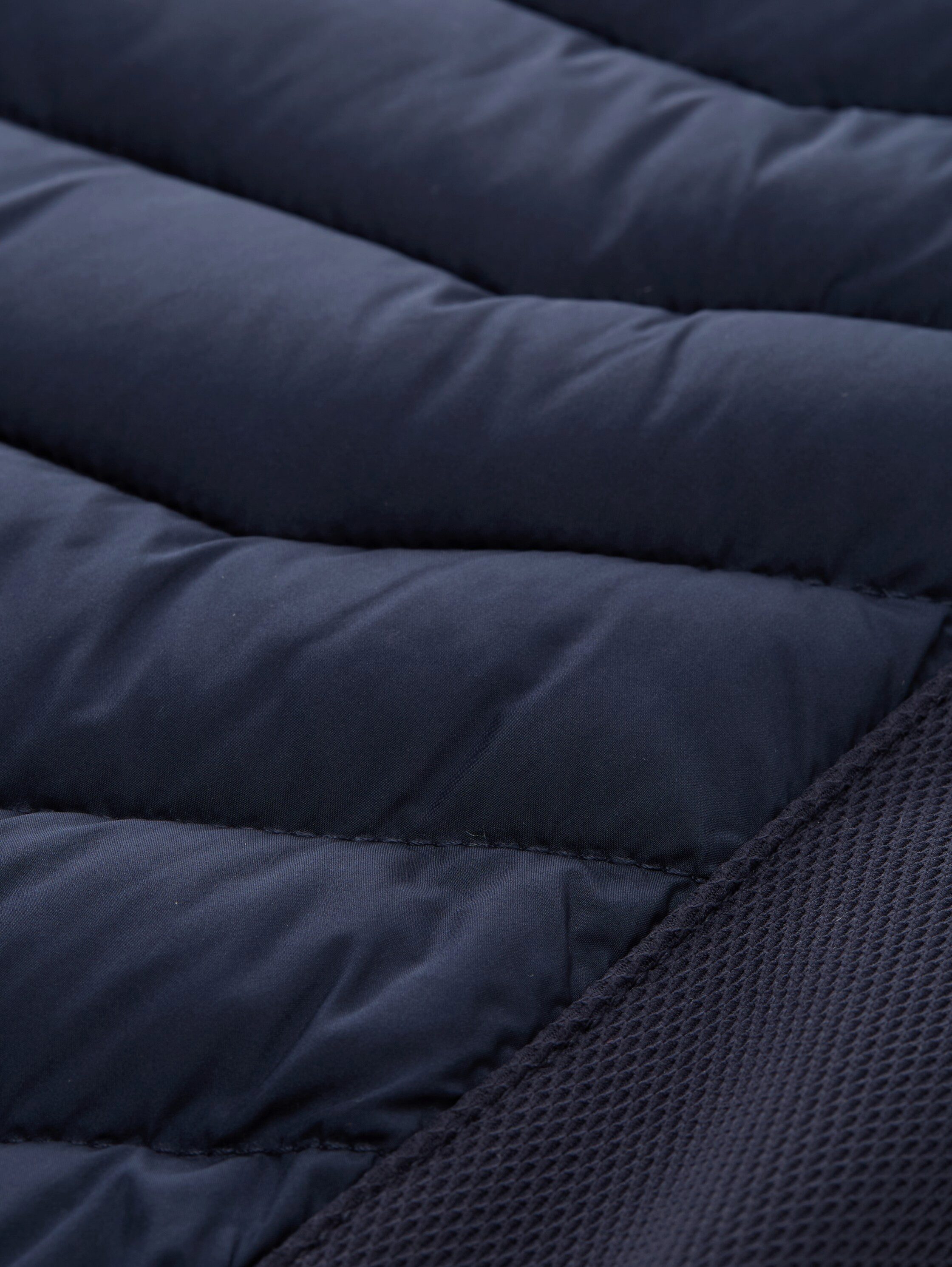 TOM TAILOR Denim Steppjacke günstig online kaufen