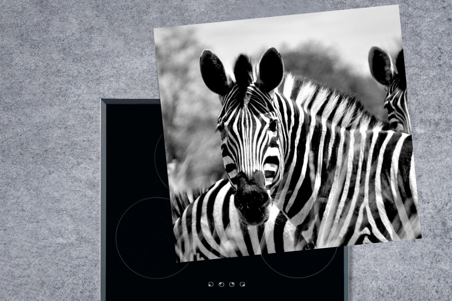 - Zebra 78x78 Wild - (1 Induktionsschutz MuchoWow Induktionsmatte, für tlg), Ceranfeldabdeckung, küche - cm, Vinyl, Herdblende-/Abdeckplatte Arbeitsplatte