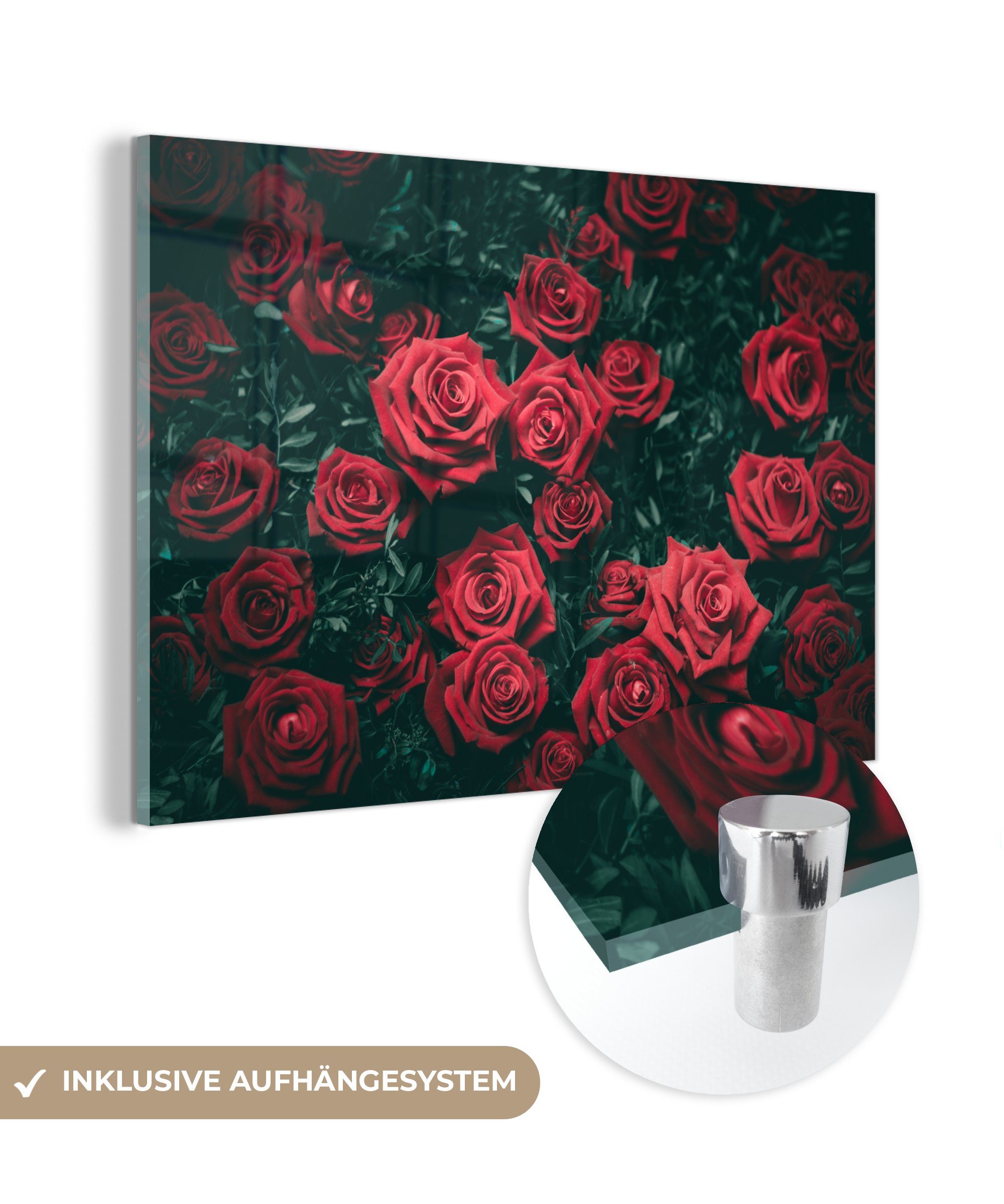 MuchoWow Acrylglasbild Rosen - Blumen - Rot, (1 St), Acrylglasbilder Wohnzimmer & Schlafzimmer