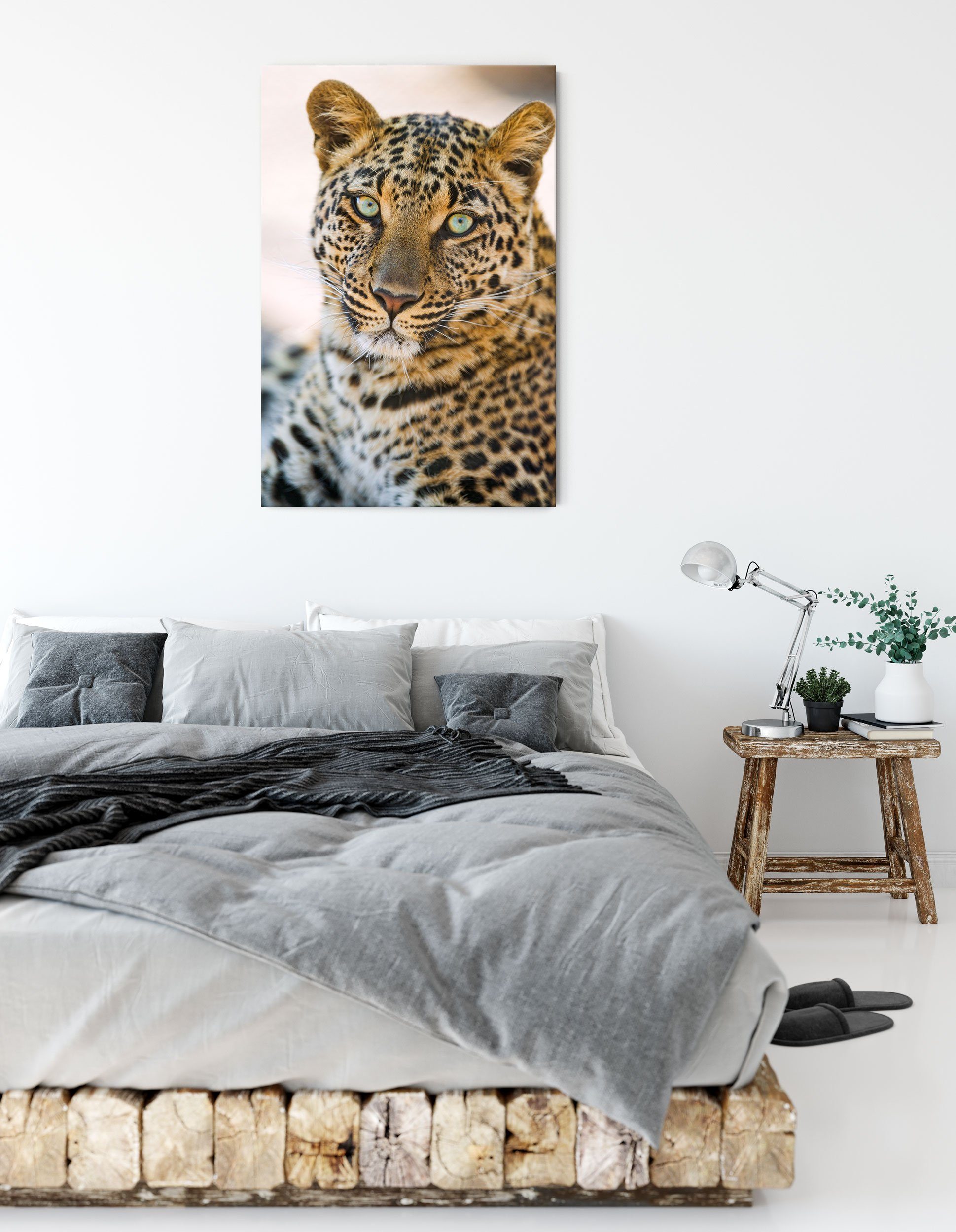 bespannt, inkl. St), schöner Leopard, Leinwandbild Zackenaufhänger Pixxprint Leinwandbild fertig schöner Leopard (1