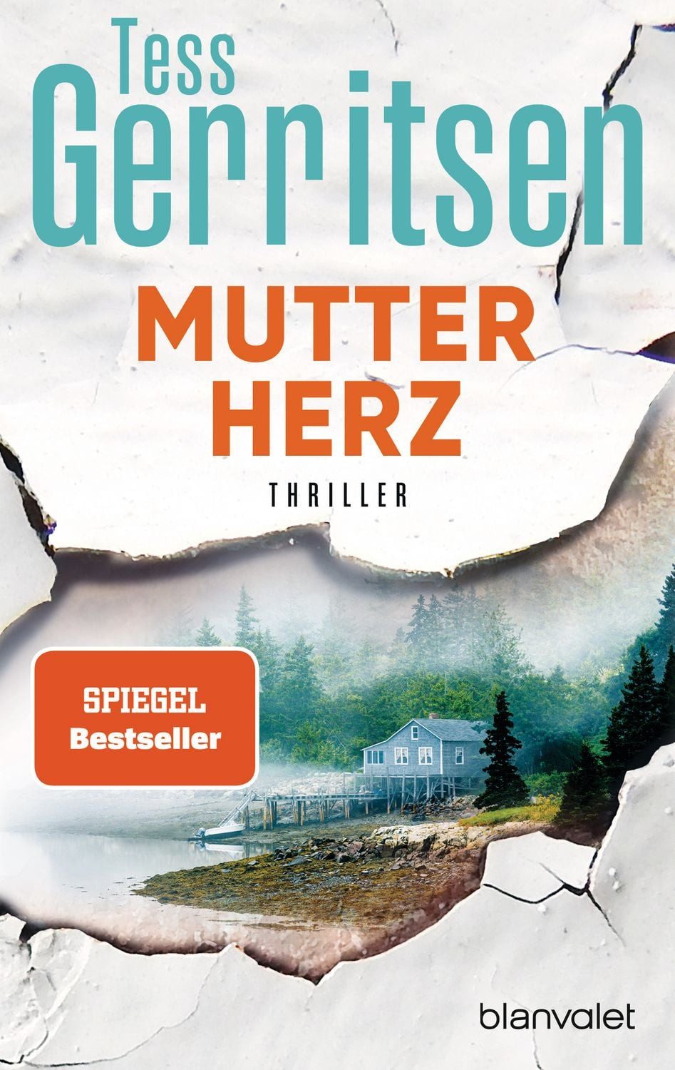 Belletristik Mutterherz Thriller Tess Gerritsen