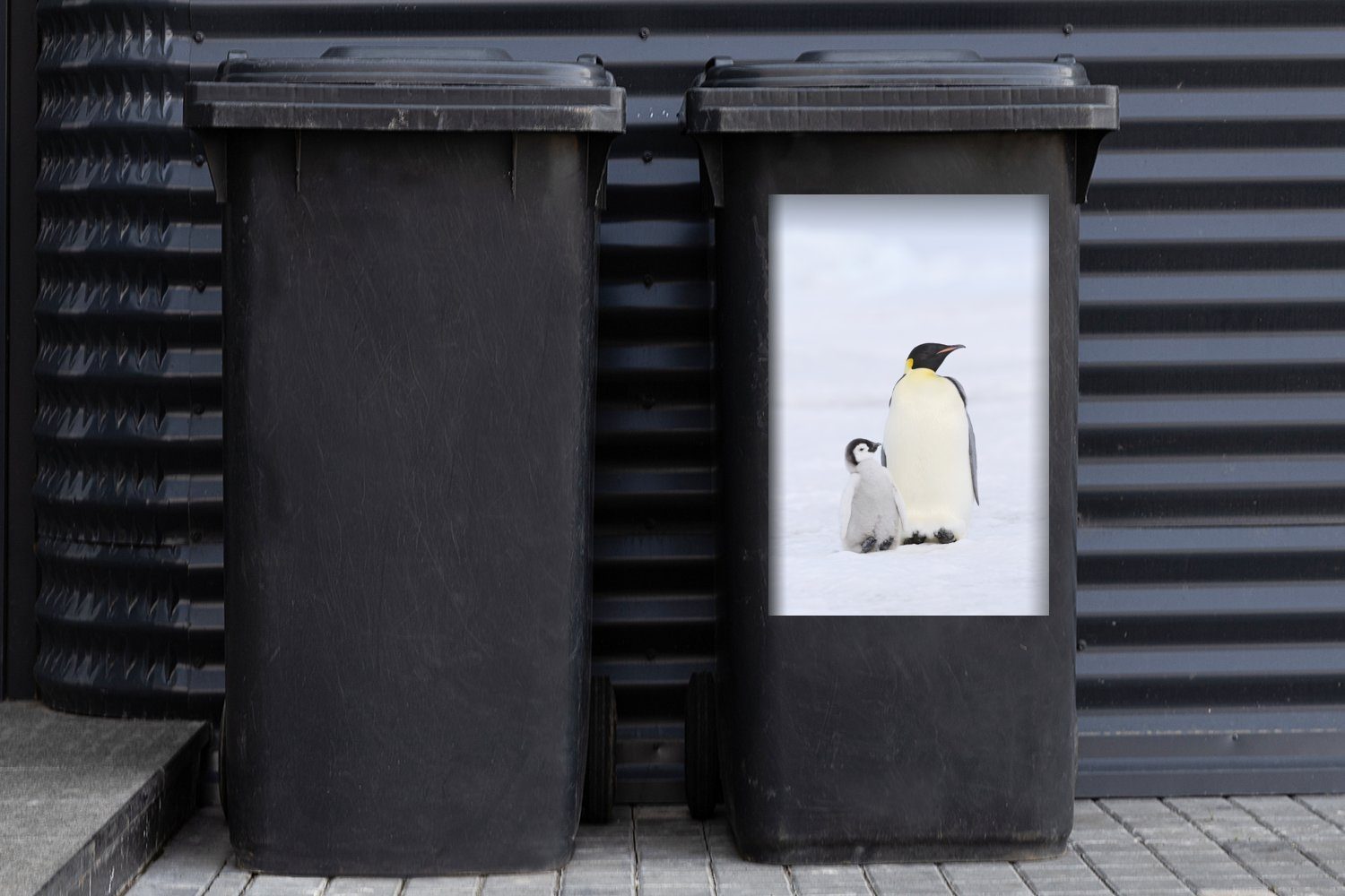 Mülltonne, Sticker, St), - Wandsticker - Küken MuchoWow Abfalbehälter Mülleimer-aufkleber, Schnee Container, Pinguin (1