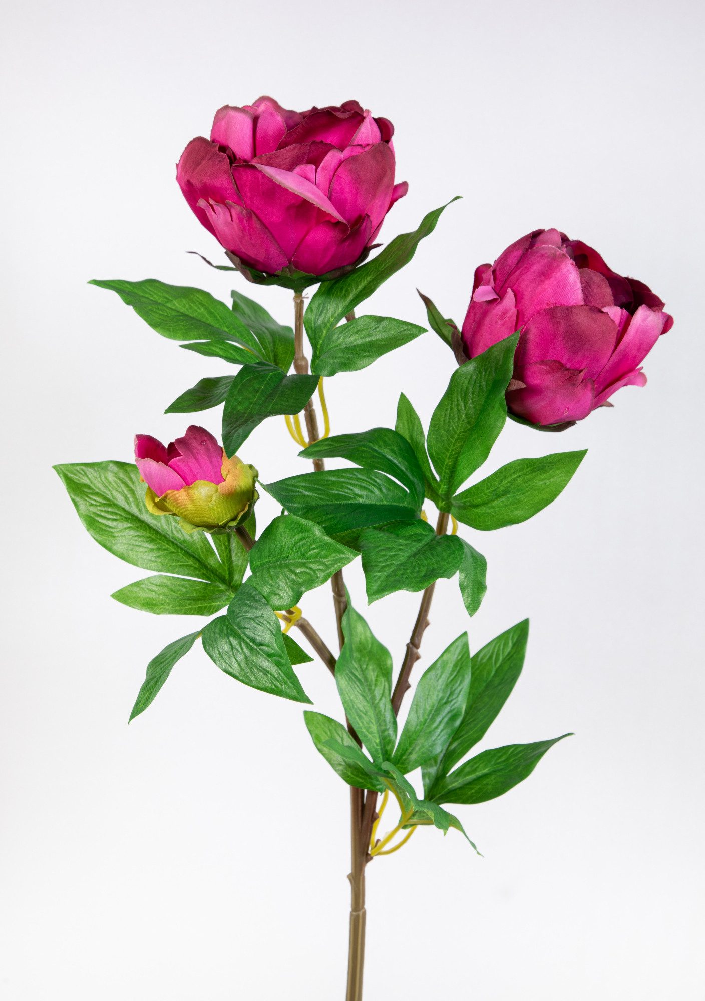 Kunstblume Pfingstrose Nature 68cm GA Seidenblumen künstliche Blumen Päonie, Seidenblumen Roß, Höhe 68 cm, Fuchsia