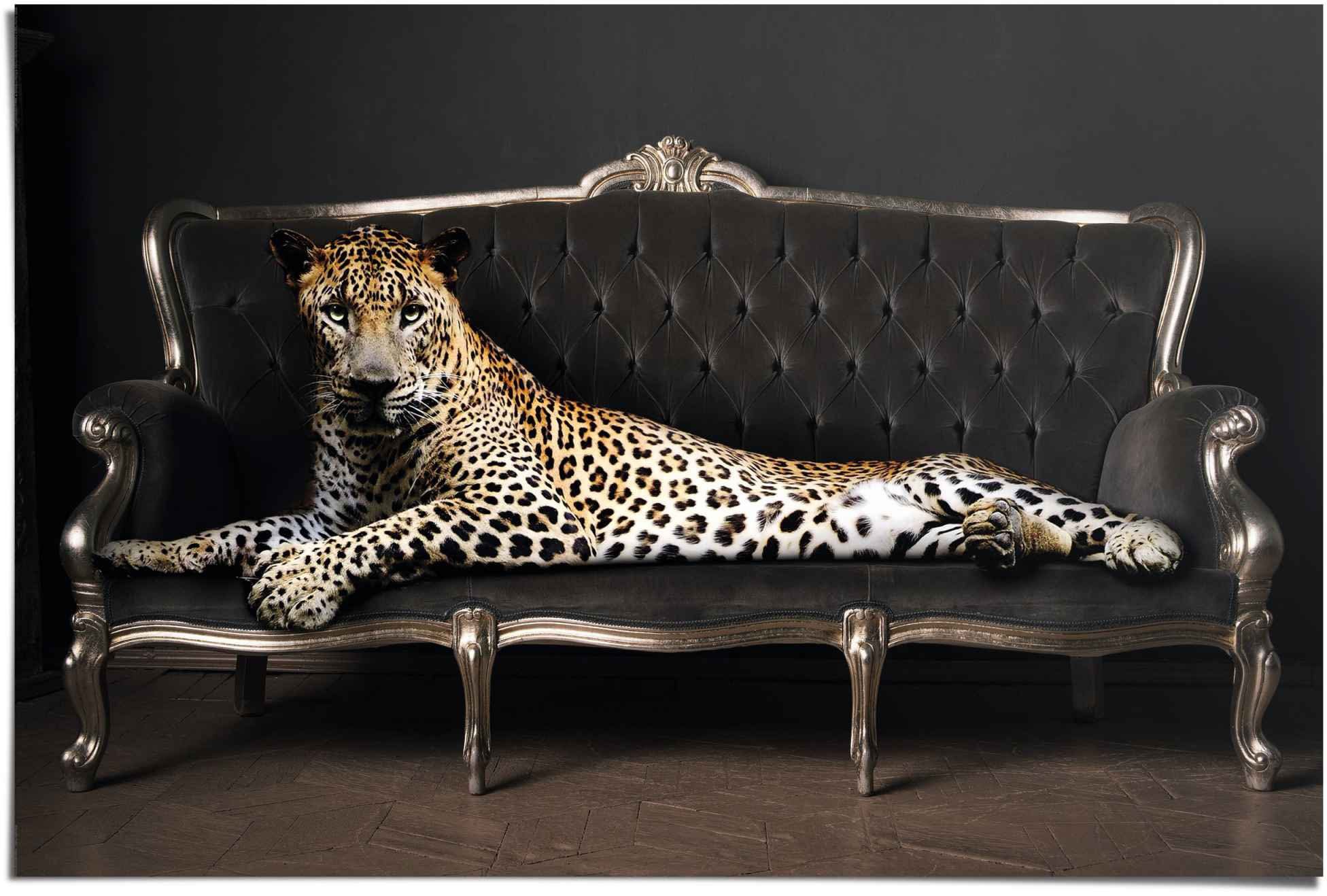 Panther Reinders! St) - - Liegend Leopard (1 Chic Relax, Poster Luxus -