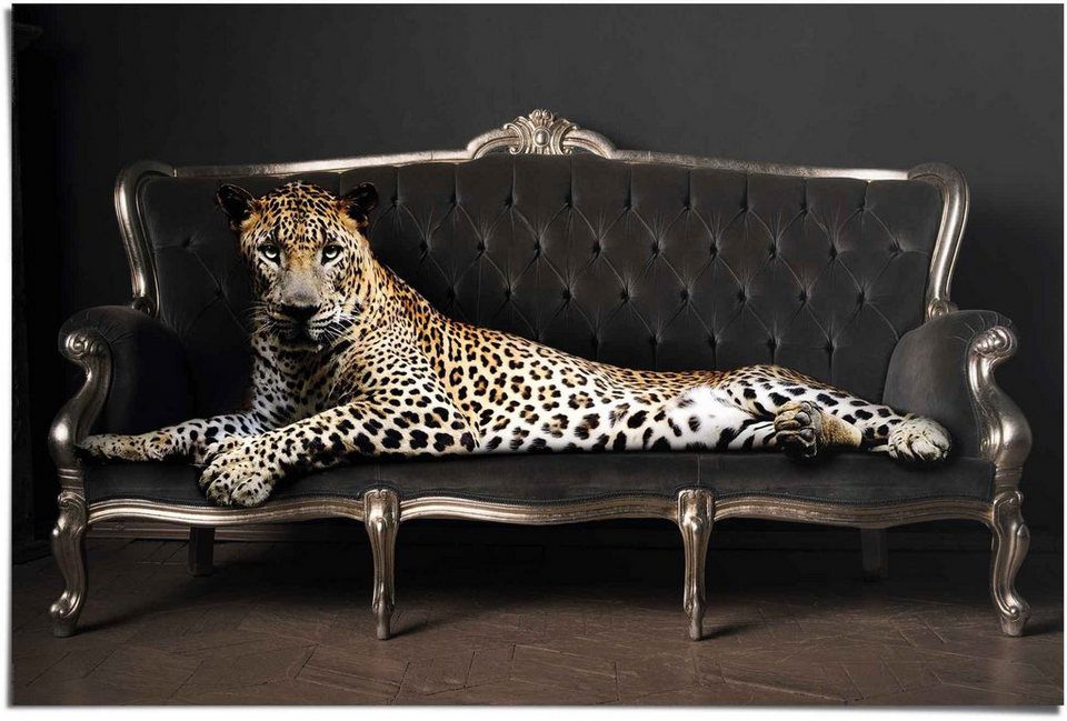 Reinders! Poster Leopard Chic Panther - Liegend - Luxus - Relax, (1 St)