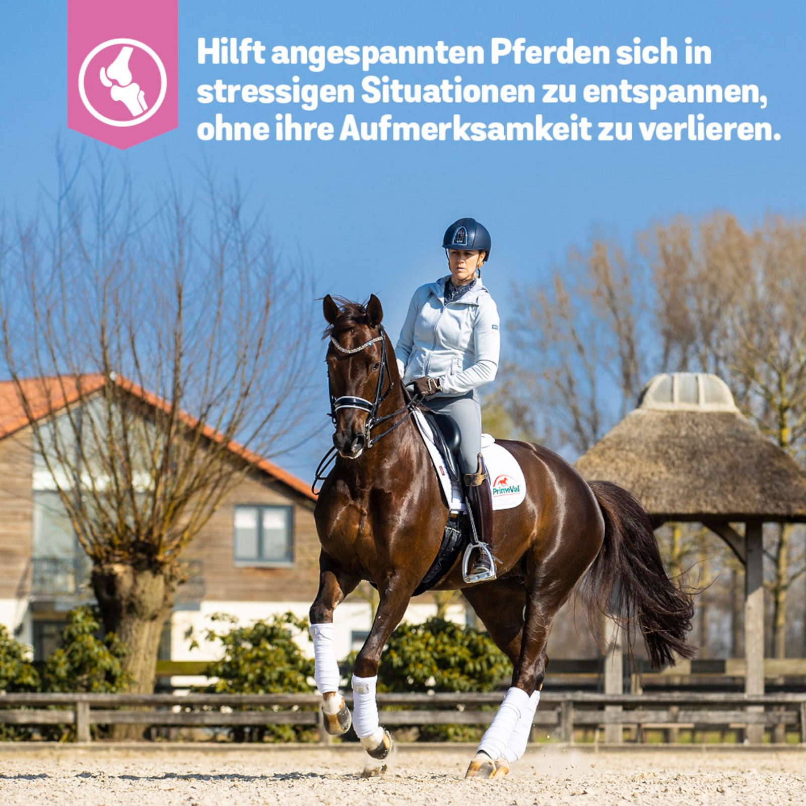PrimeVal Gelatinaat für Pferde, fördert die Muskelkondition und den Erhalt k..., Ergänzungsfutter für: Pferde