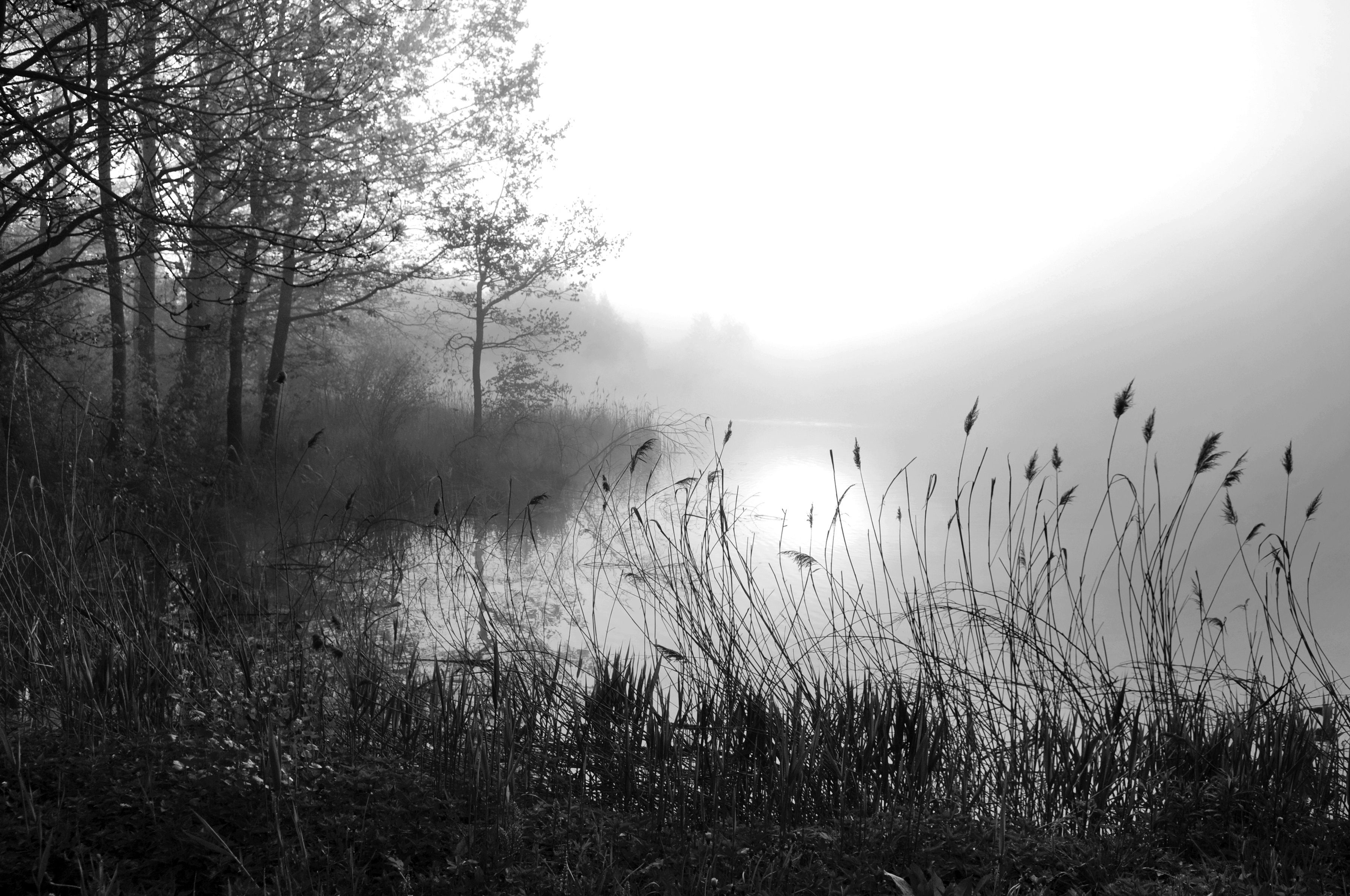 See Schwarz Weiß Fototapete & Papermoon