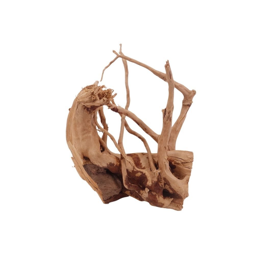 Aquaone Aquarium M Moorkienwurzel Nr.2680 Holz Deko Aquascaping