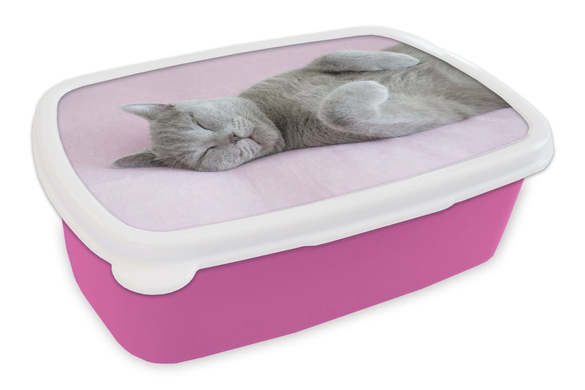 MuchoWow Lunchbox Graue Katze schläft auf rosa Teppich, Kunststoff, (2-tlg), Brotbox für Erwachsene, Brotdose Kinder, Snackbox, Mädchen, Kunststoff