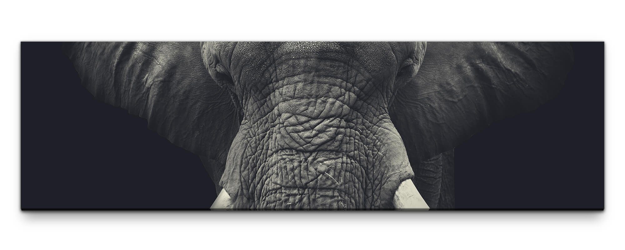 möbel-direkt.de Leinwandbild Bilder XXL Elefant schwarz weiss Wandbild auf Leinwand. € 47,00