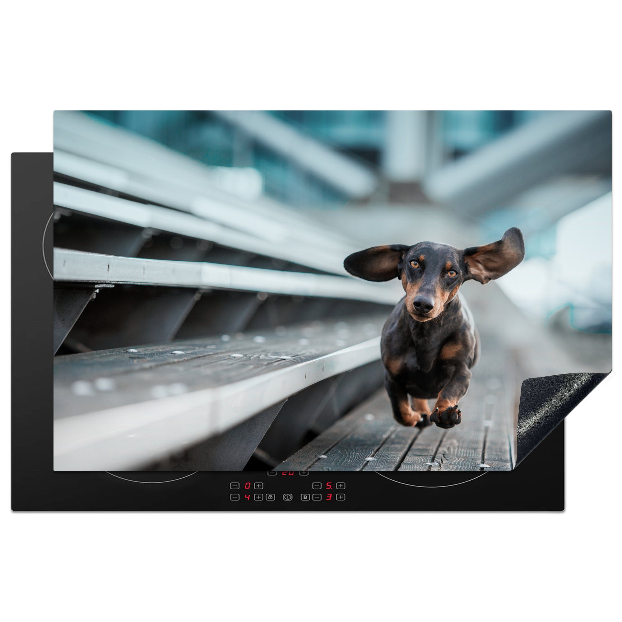 MuchoWow Herdblende-/Abdeckplatte Hund läuft über Tribüne, Vinyl, (1 tlg), 81x52 cm, Induktionskochfeld Schutz für die küche, Ceranfeldabdeckung