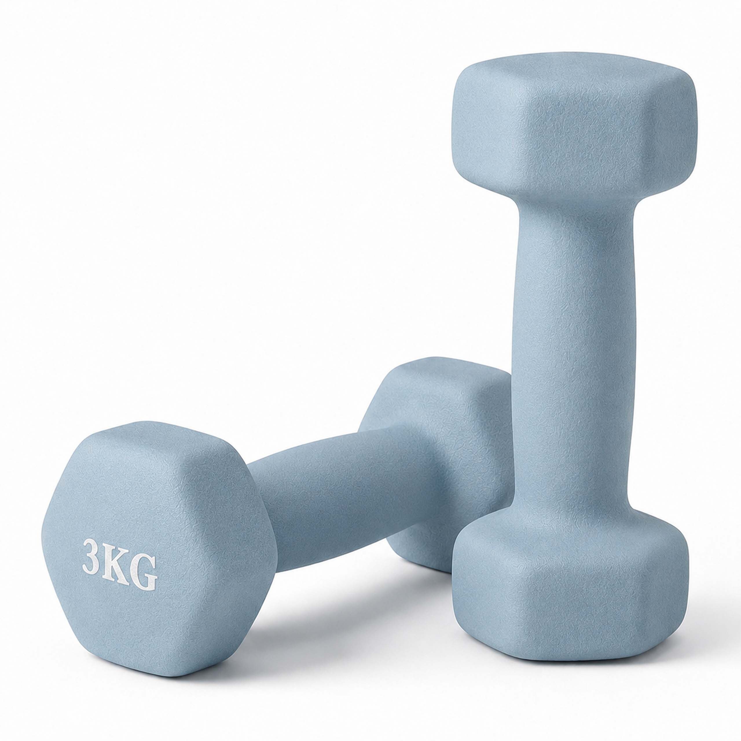 relaxdays Gymnastikhantel Hanteln 2er Set Gusseisen, 3kg
