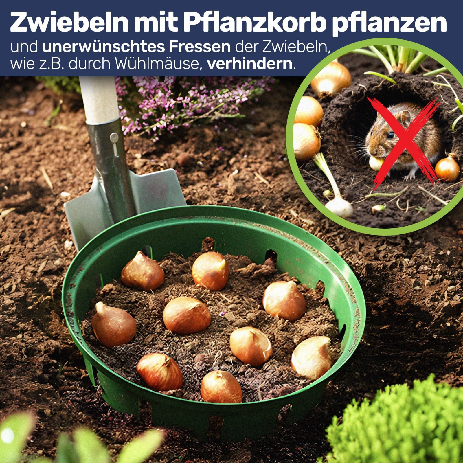 Gravidus Pflanzschale Pflanzkorb Pflanzkörbe für Zwiebelpflanzen Ø22 cm (3 St)
