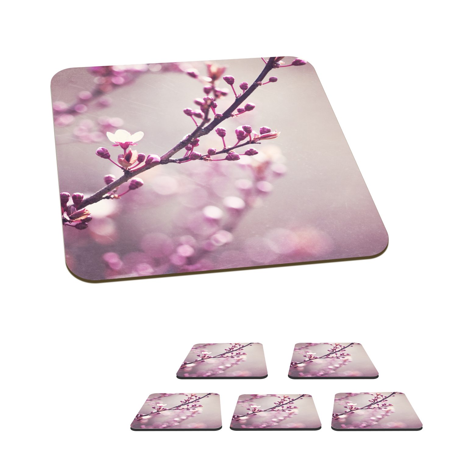 MuchoWow Glasuntersetzer Nahaufnahme der violetten Blüten einer Sakura, Zubehör für Gläser, 6-tlg., Glasuntersetzer, Tischuntersetzer, Korkuntersetzer, Untersetzer, Tasse