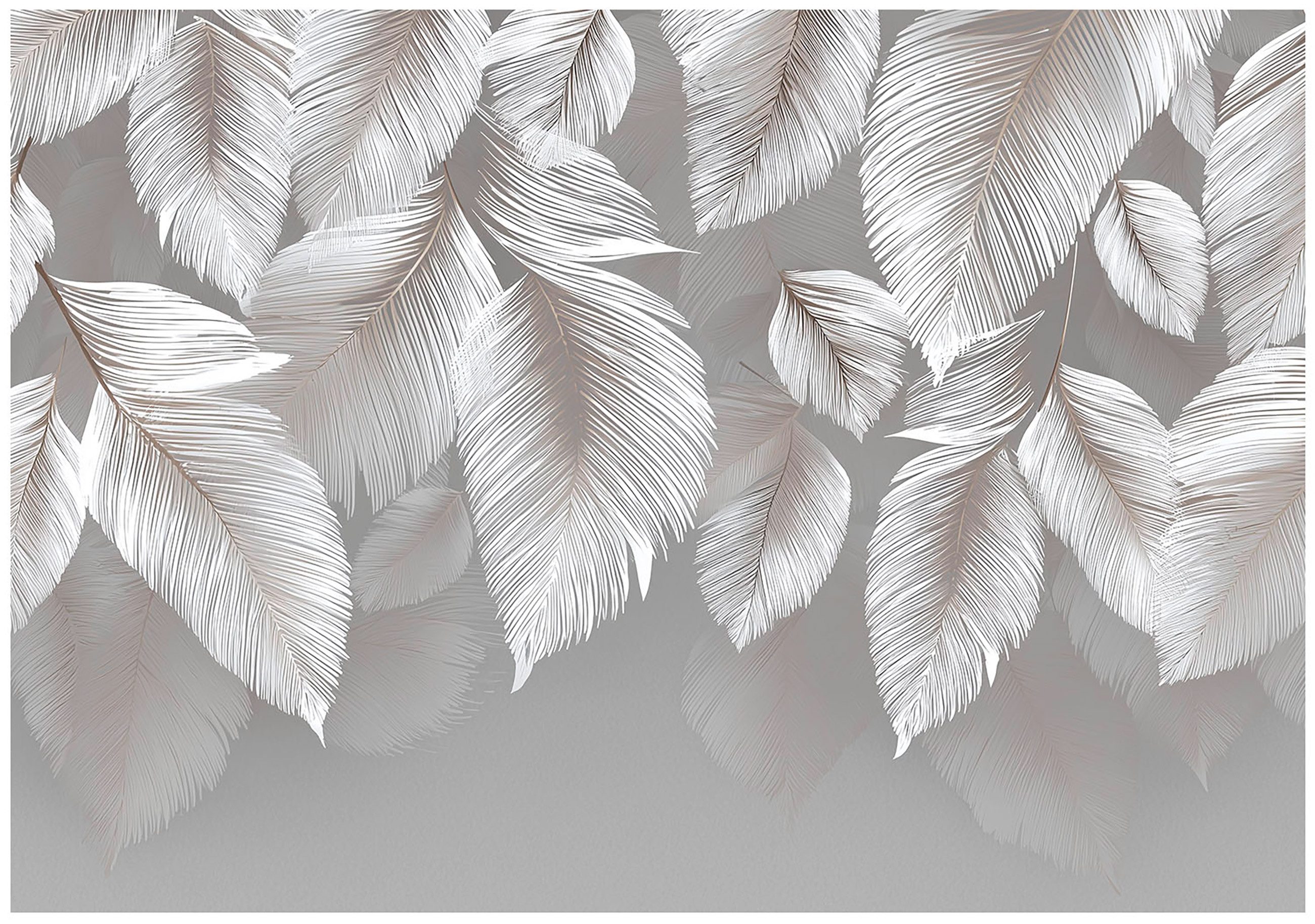 Wallarena Fototapete Blätter Weiß Federn Vlies Tapete Wohnzimmer Schlafzimm günstig online kaufen