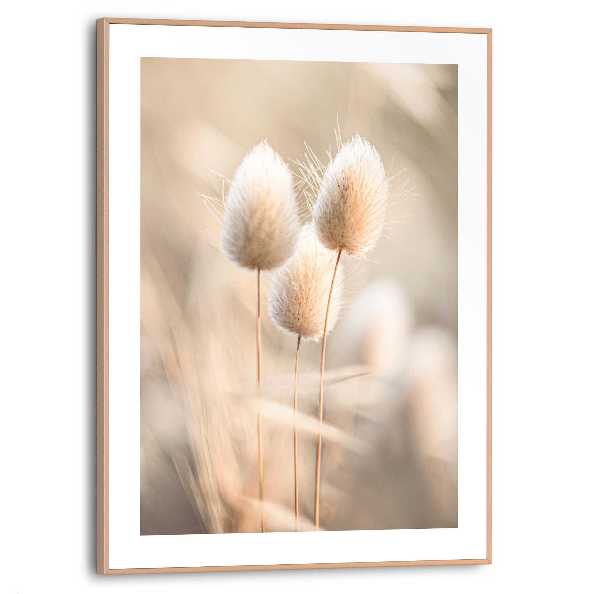 Reinders! Poster Plumes, Wohnzimmer - Grasfedern - Beige - MDF - Blumen und günstig online kaufen