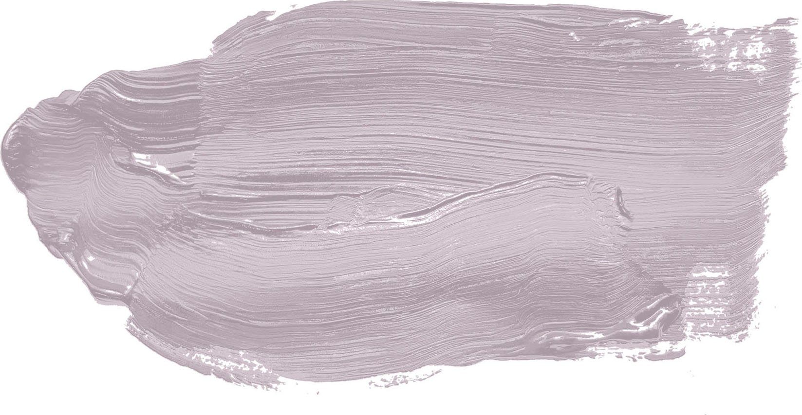 A.S. Création Wand- und Deckenfarbe Seidenmatt Innenfarbe THE COLOR KITCHEN, für Wohnzimmer Schlafzimmer Flur Küche, versch. Lilatöne