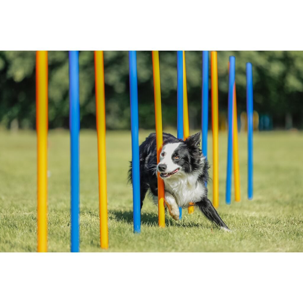 TRIXIE Agility-Slalom Fun Agility Slalom - blau/orange - ø 3 × 115 cm, Kunststoff
