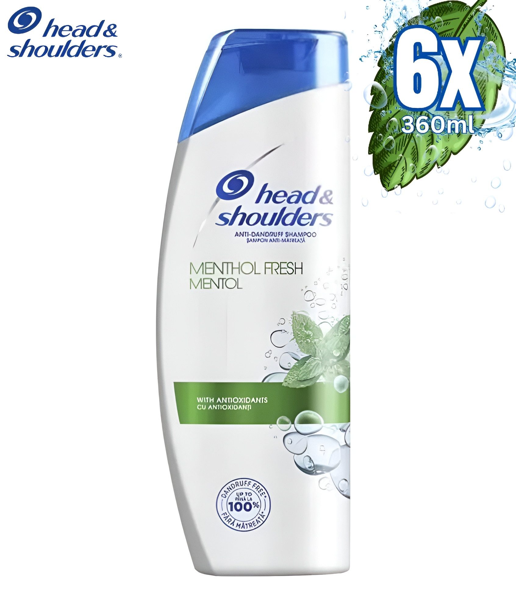 Haarshampoo Menthol Fresh 2 in 1 Anti-Schuppen Haar Shampoo