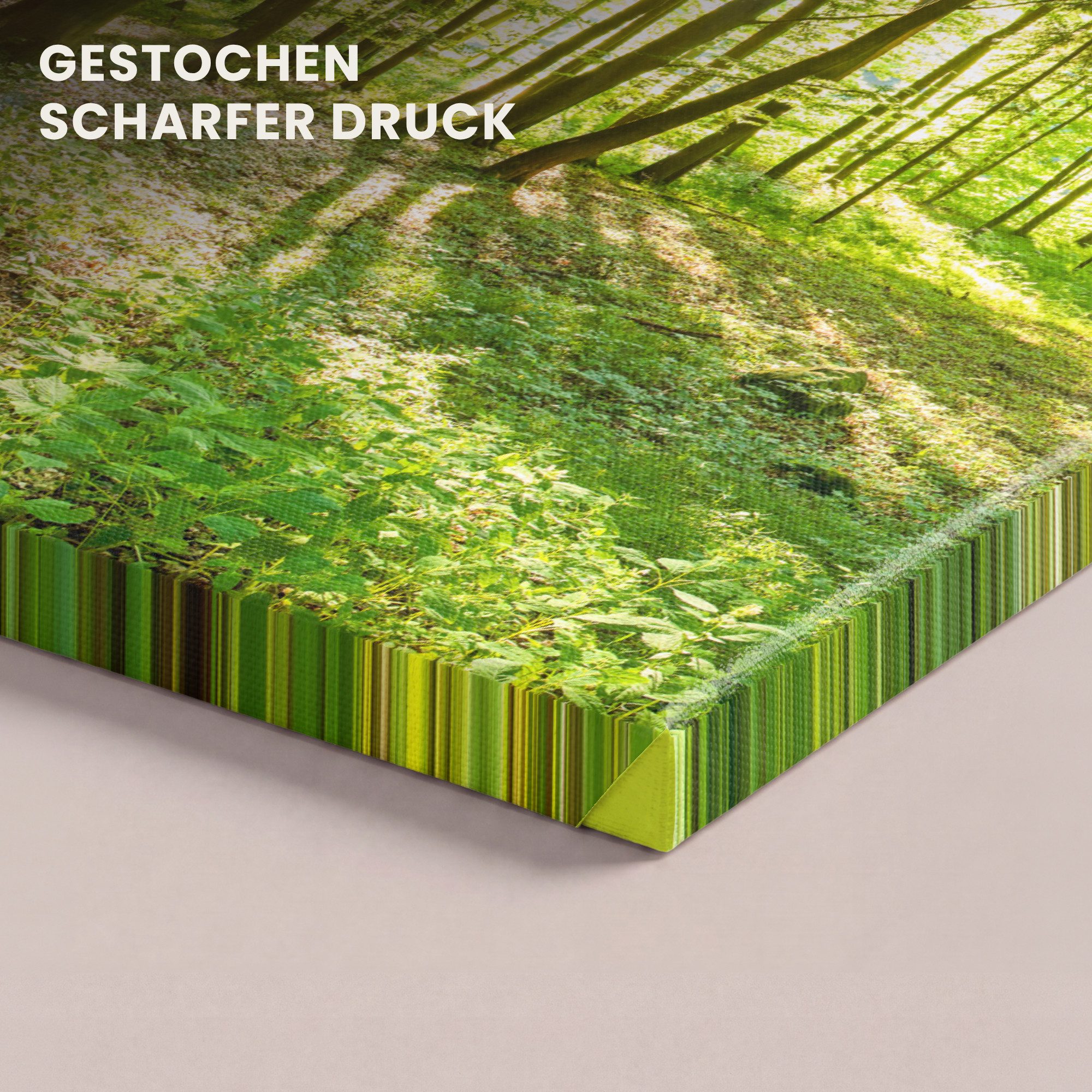 OneMillionCanvasses® Leinwandbild Natur - Bäume - Wald - Grün - Sonnenlicht, Fotodruck (1 St), Leinwand Bilder Klein, Wand Dekoration Aesthetic 30x20 cm – Bild 3 von 5