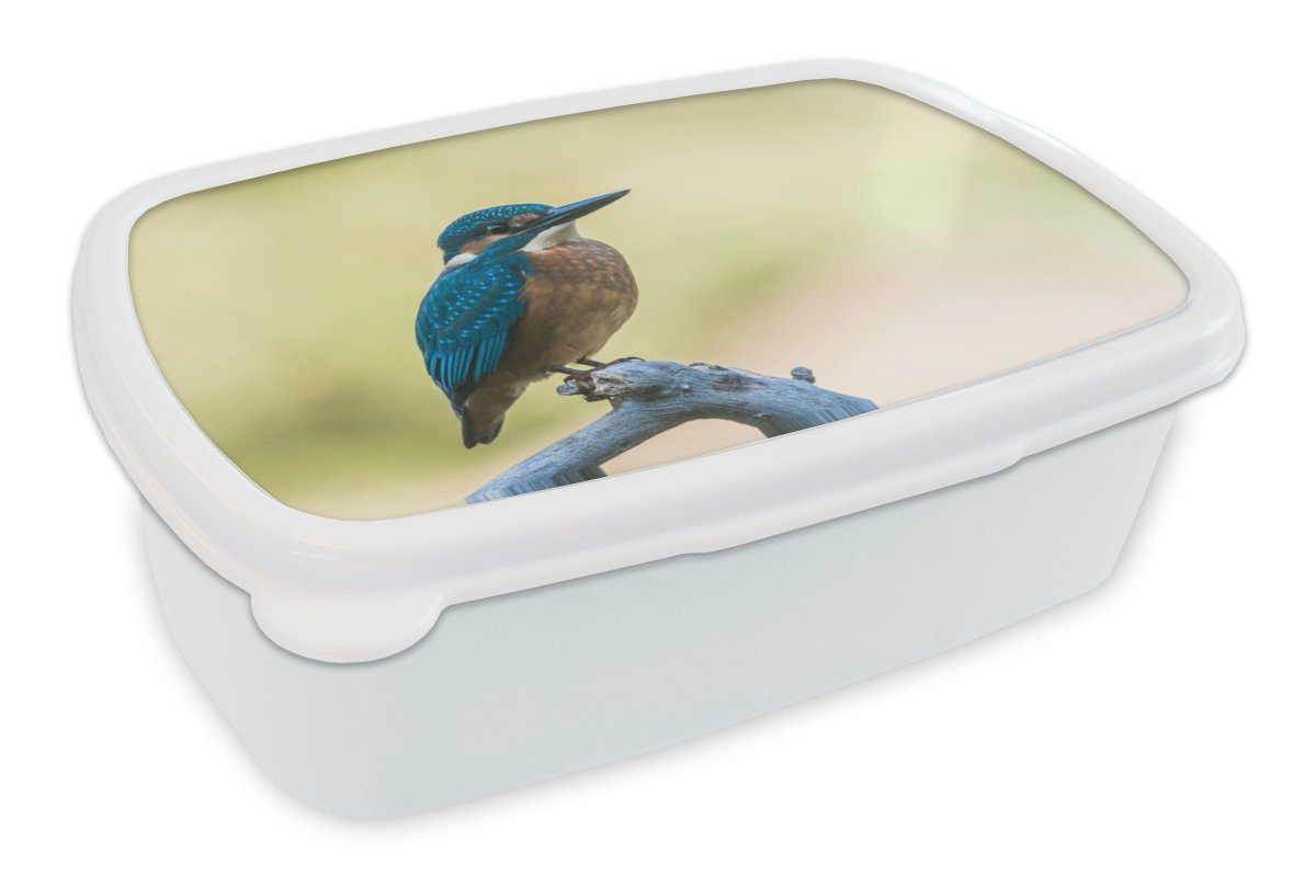 MuchoWow Lunchbox Vogel, Kinder weiß - (2-tlg), für und Kunststoff, für Zweig und Jungs Brotdose, Brotbox - Erwachsene, Mädchen Eisvogel