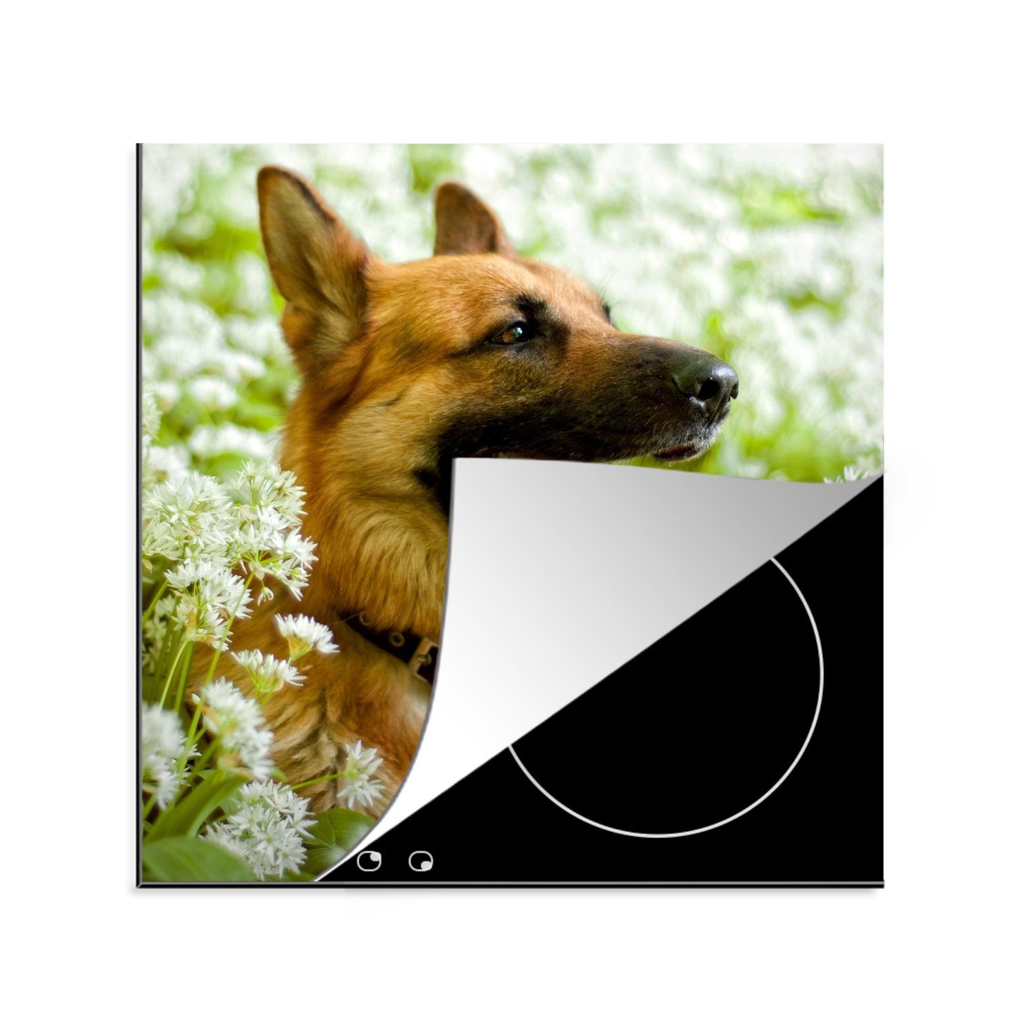 MuchoWow Herdblende-/Abdeckplatte Deutscher Schäferhund sitzt inmitten der weißen Blumen, Vinyl, (1 tlg), 78x78 cm, Ceranfeldabdeckung, Arbeitsplatte für küche