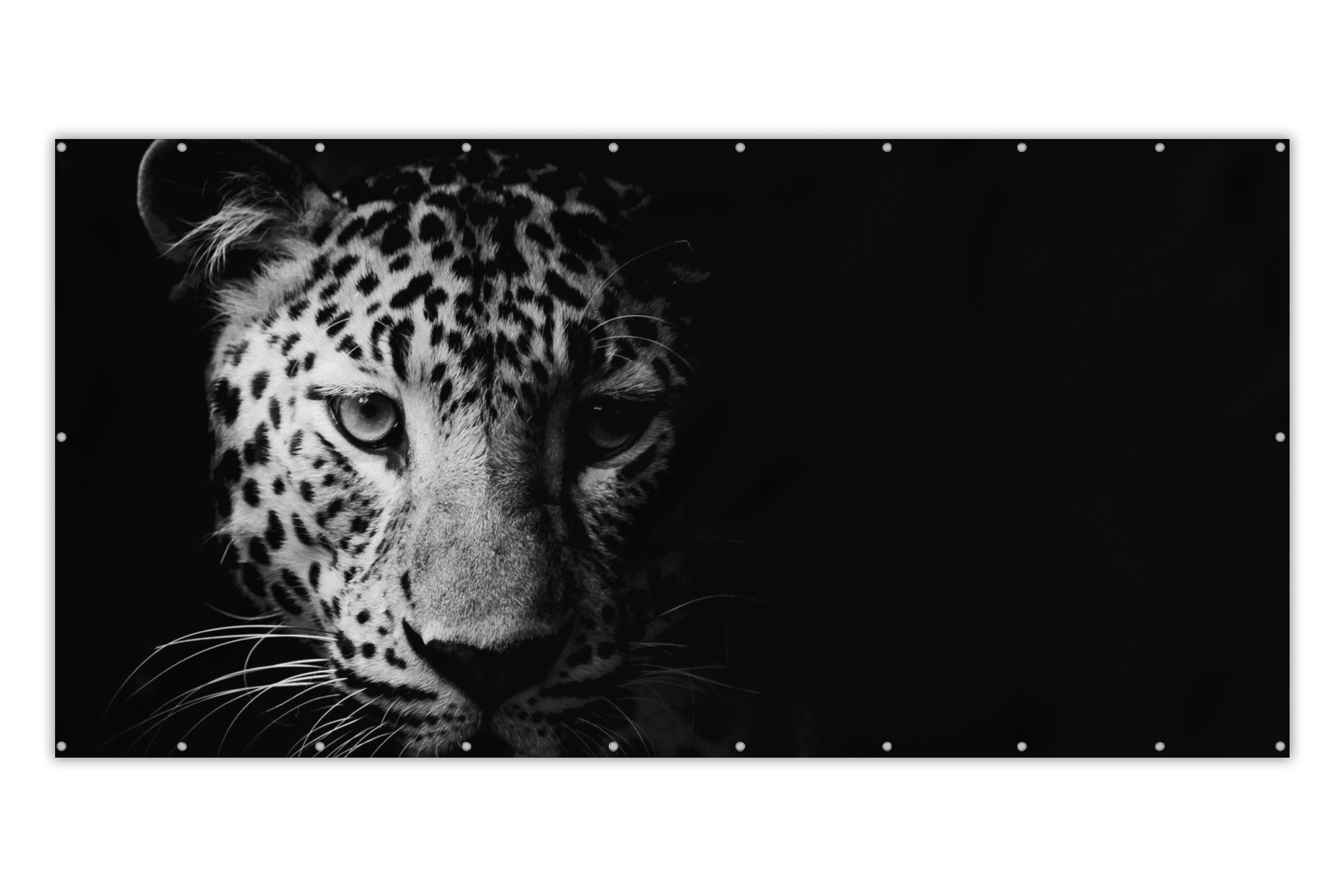 MuchoWow Balkonsichtschutz Panther - Wildtiere - Schwarz und weiß - Tiere (1-St) Balkonbespannung mit Metalösen, UV-beständig, Balkonbanner
