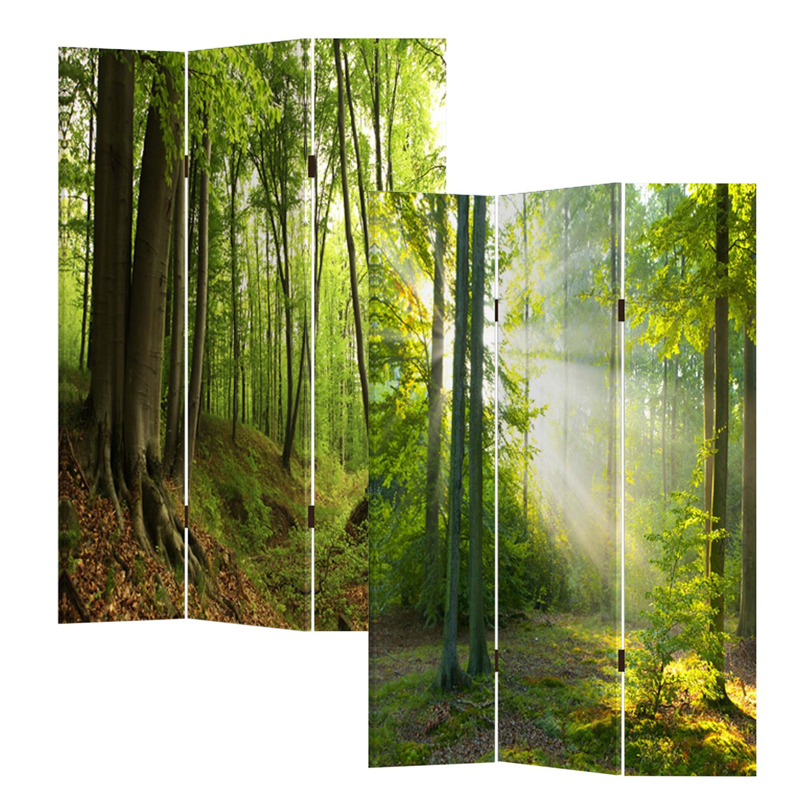 HTI-Line Paravent Paravent Waldweg (Stück, 1 St., 1 Paravent), Raumteiler Sichtschutz Trennwand