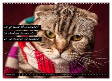 CALVENDO Wandkalender Der "philosophische" Katzenkalender 2023 (Premium, hochwertiger DIN A2 Wandkalender 2023, Kunstdruck in Hochglanz)
