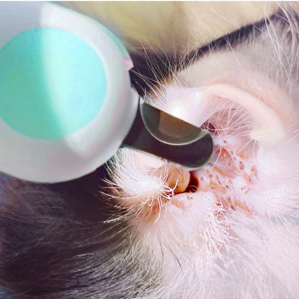 Nagelknipser Nagelknipser Licht und Katzen,Hunde,mit Katde Pflegewerkzeug für Trimmer,